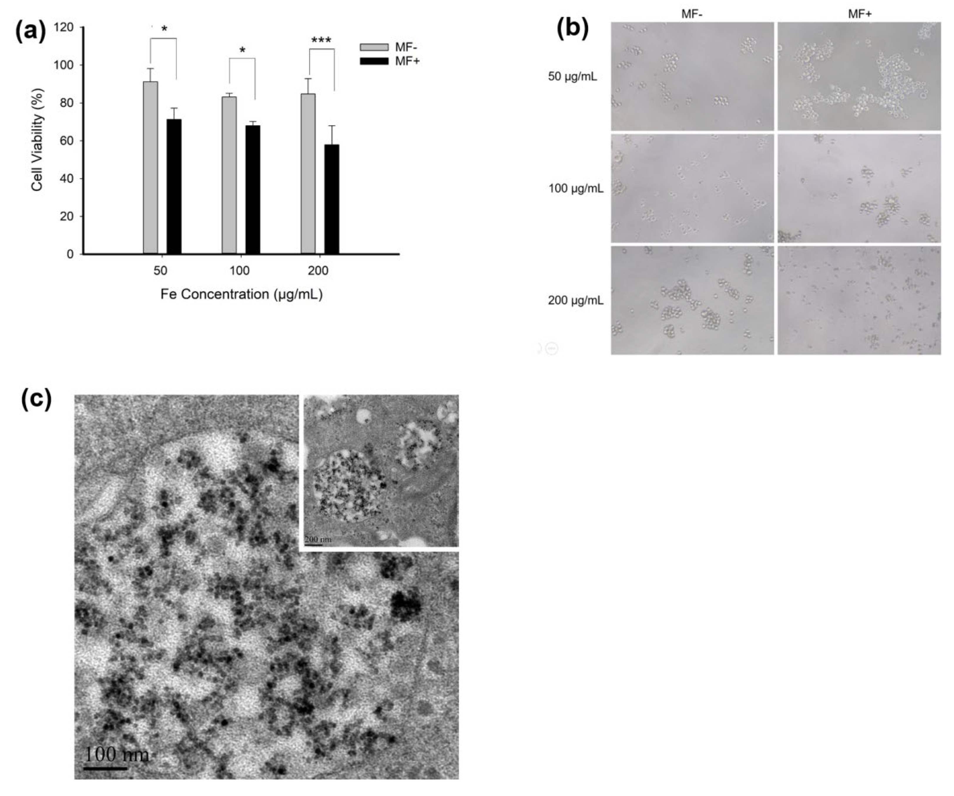 Cells 11 02007 g004a