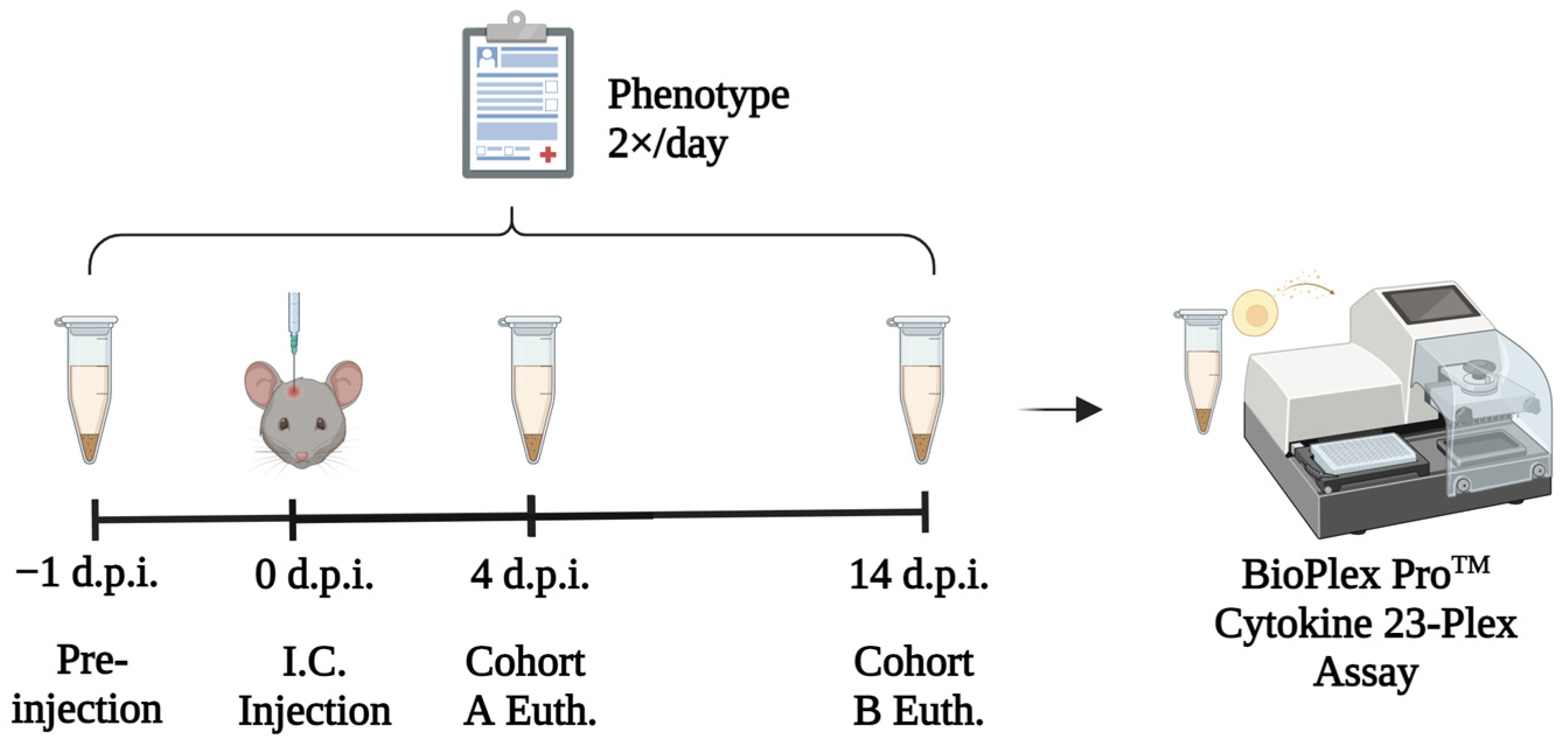 Cells 11 02044 g001 Cells 11 02044 g001
