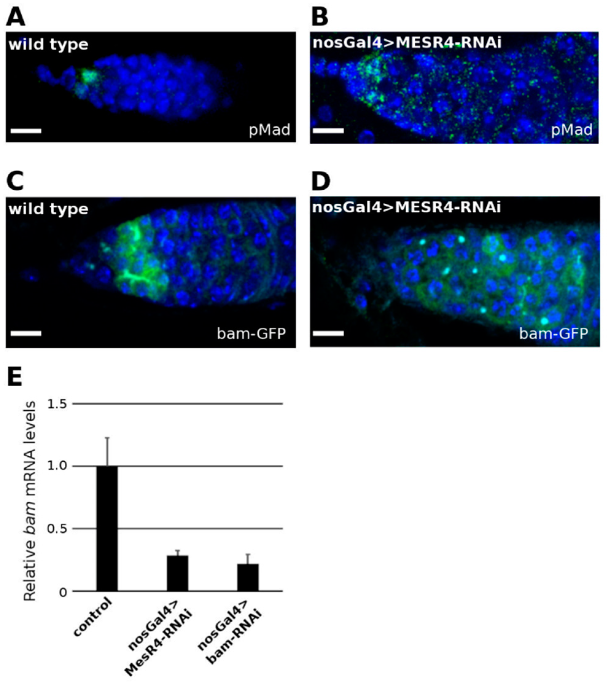 Cells 11 02056 g002 Cells 11 02056 g002