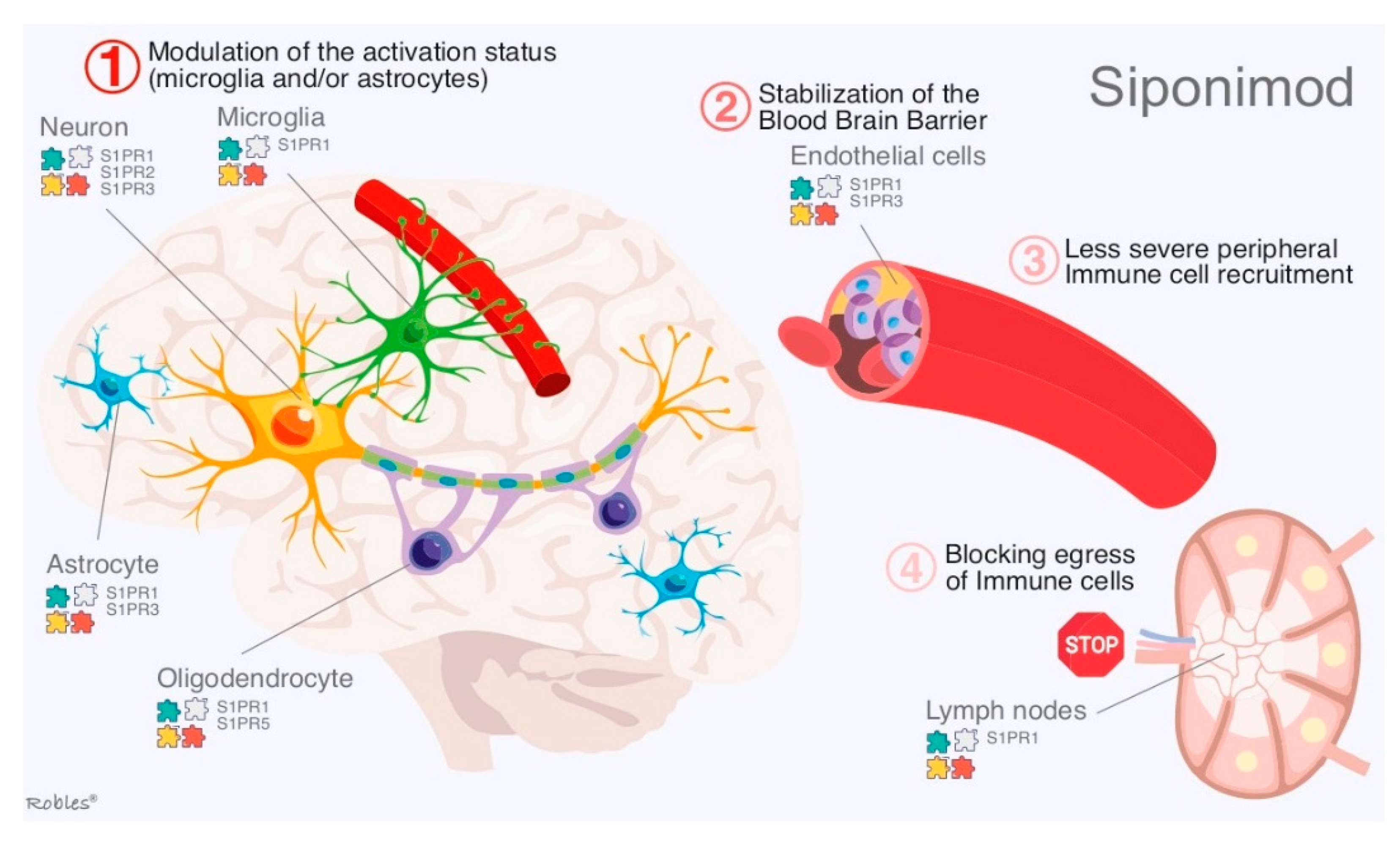 Cells 11 02058 g004 Cells 11 02058 g004