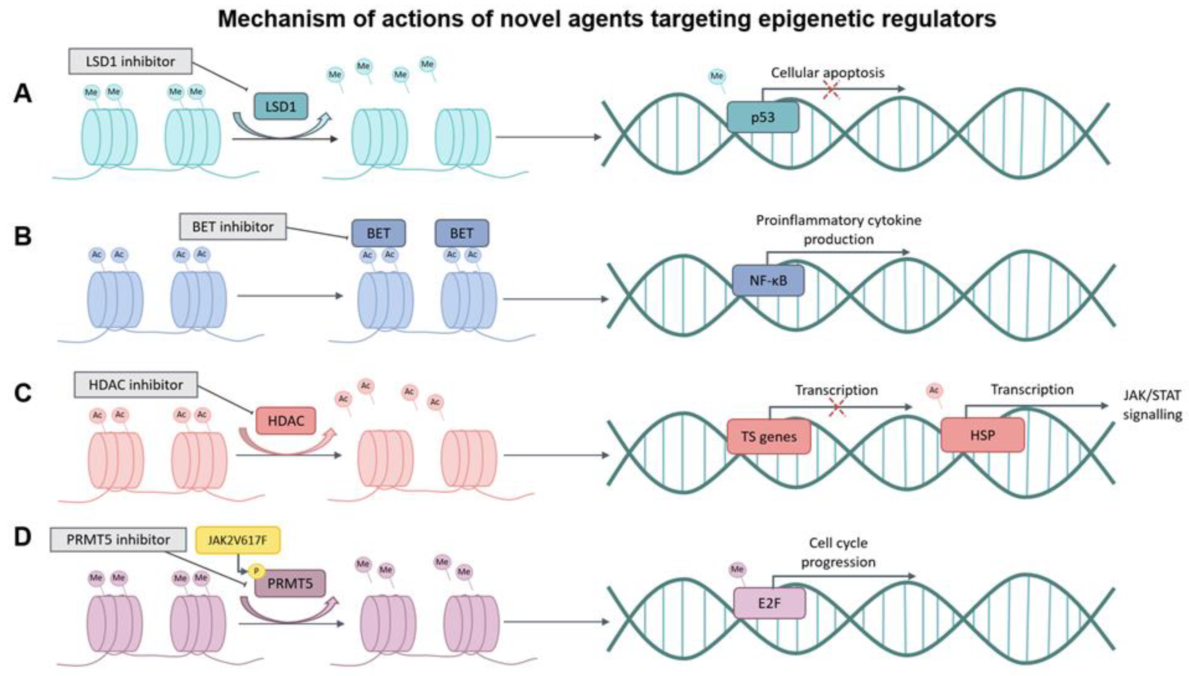 Cells 11 02107 g001 Cells 11 02107 g001