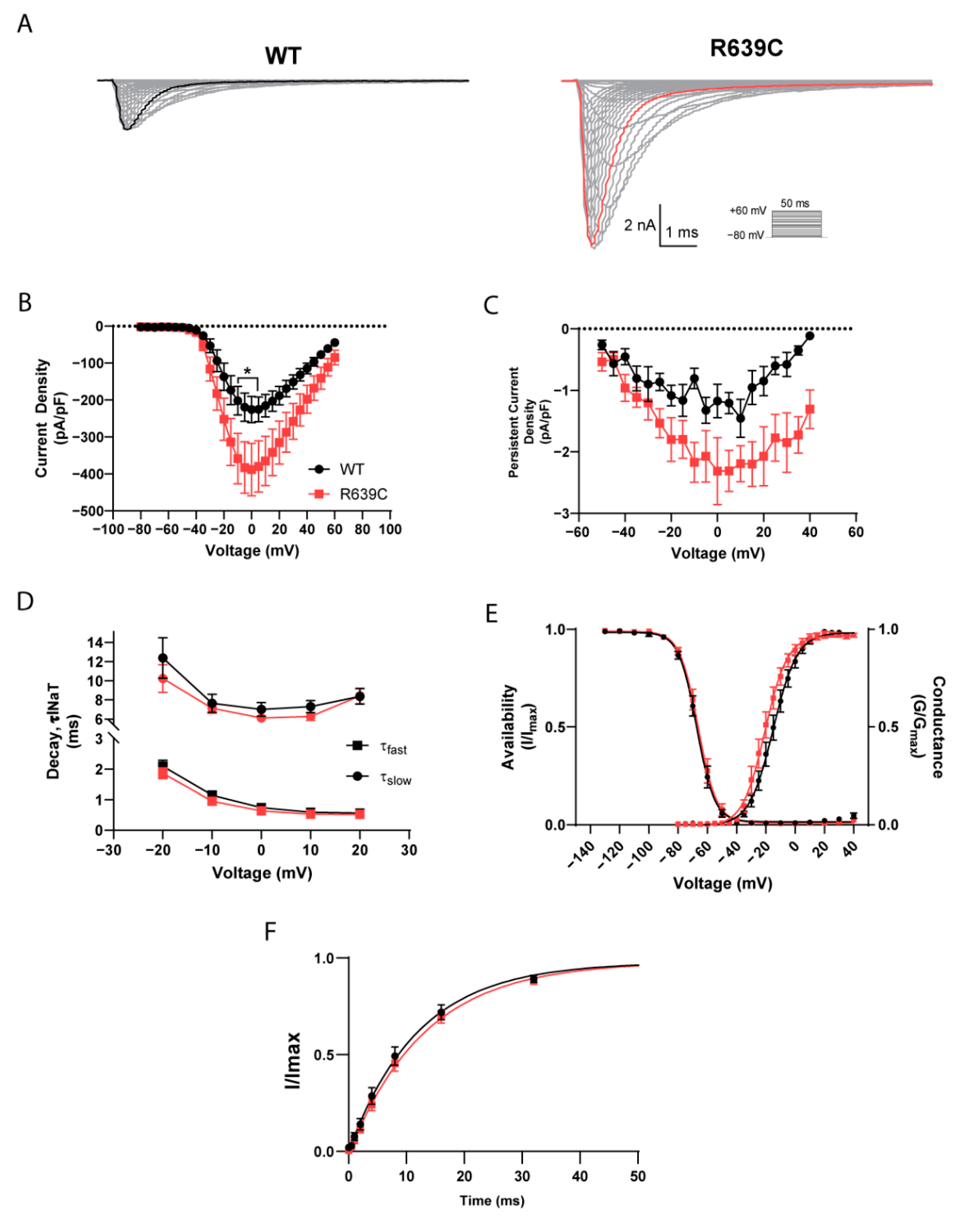 Cells 11 02108 g006 Cells 11 02108 g006