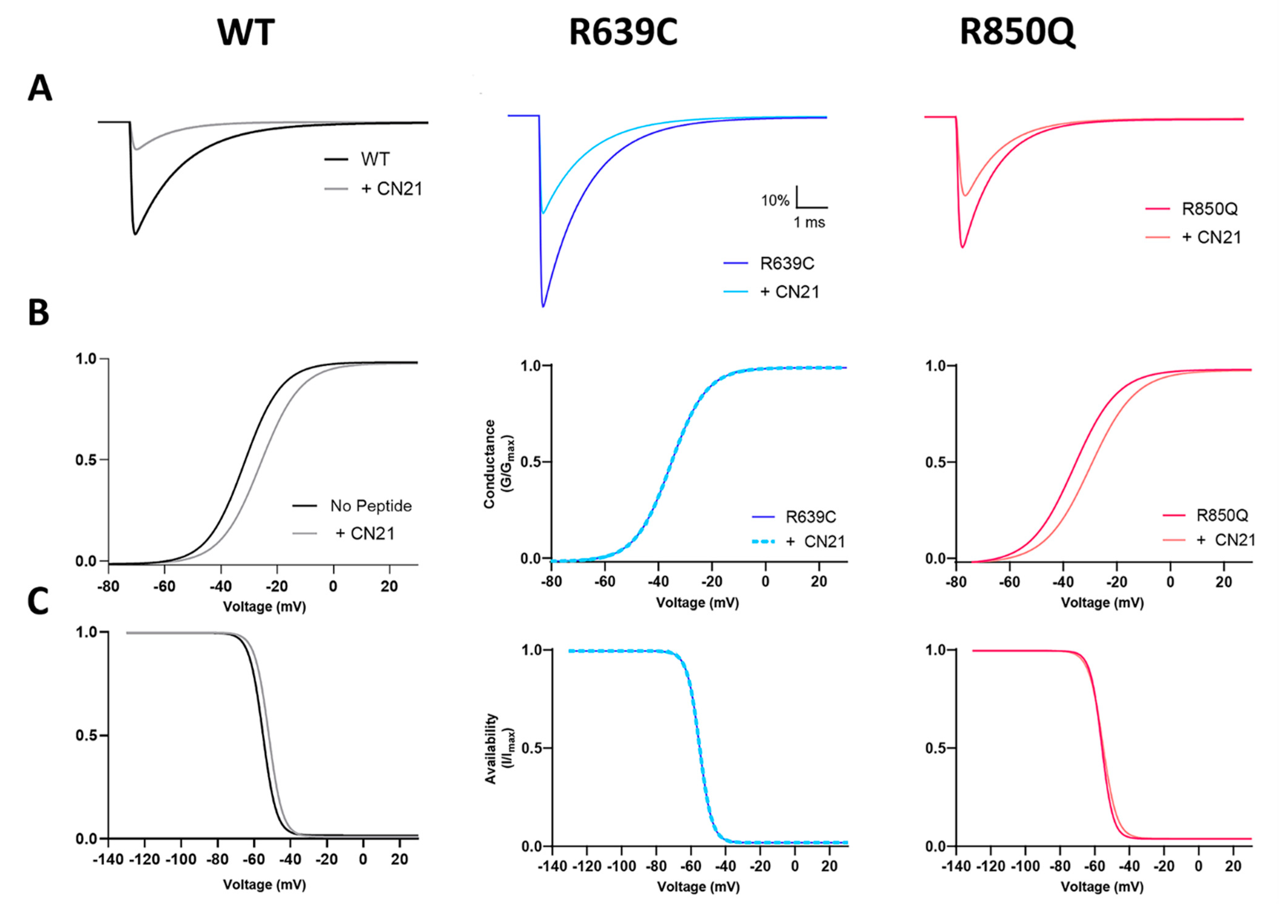 Cells 11 02108 g008 Cells 11 02108 g008
