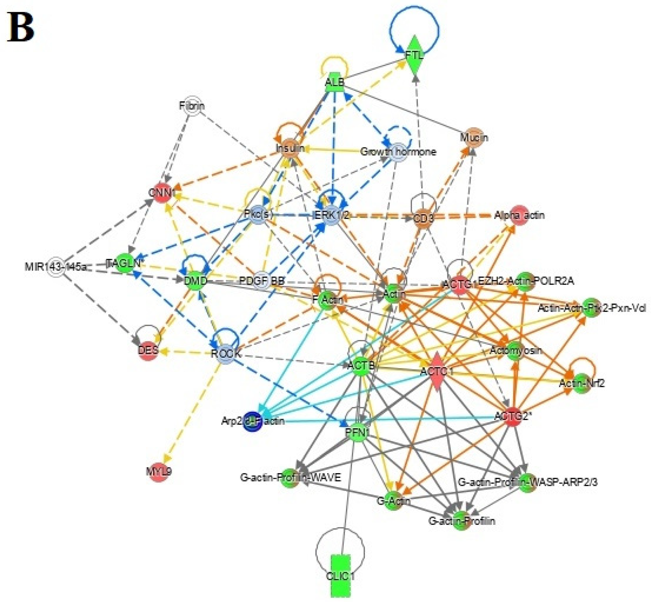 Cells 11 02119 g005b