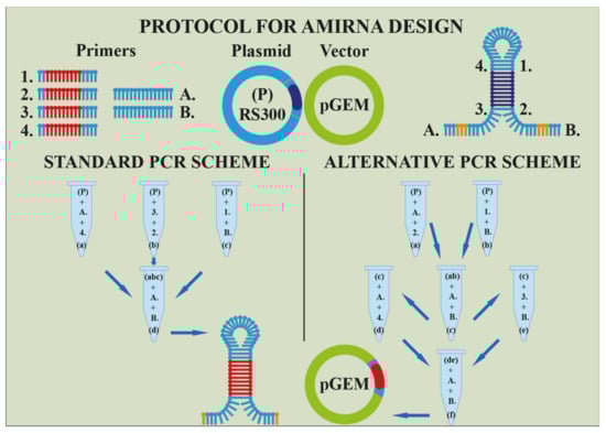 Cells 11 02151 g004 550