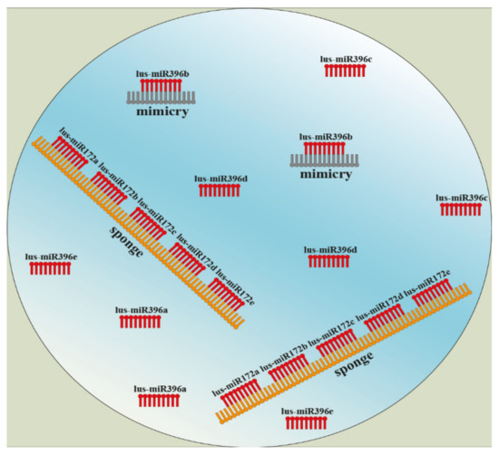 Cells 11 02151 g005 550