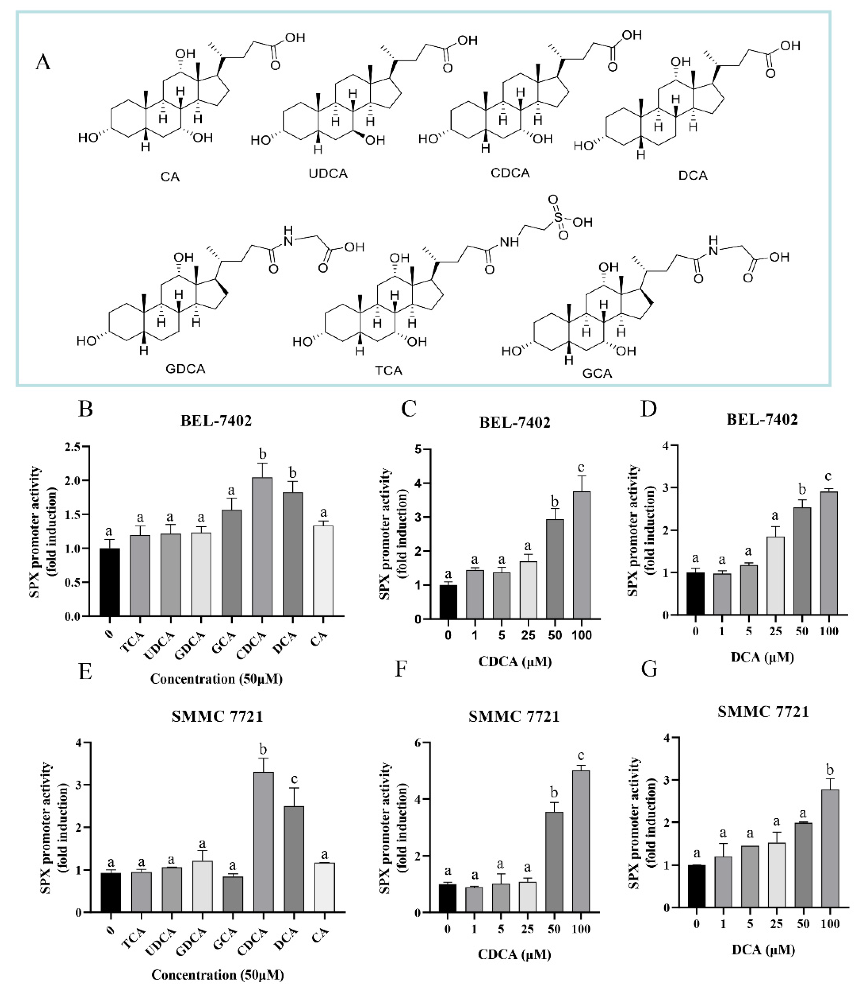 Cells 11 02159 g001 Cells 11 02159 g001