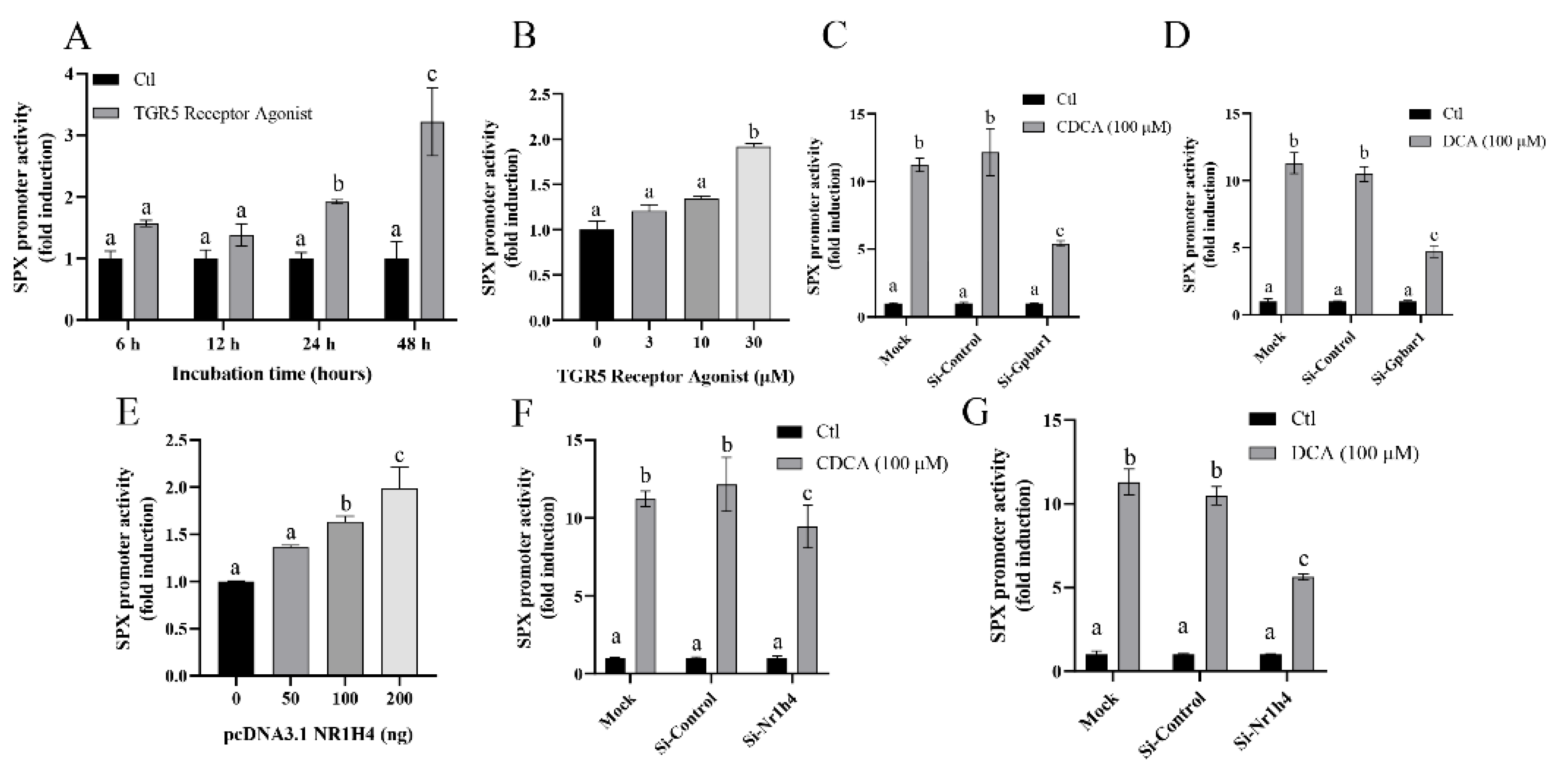 Cells 11 02159 g003 Cells 11 02159 g003