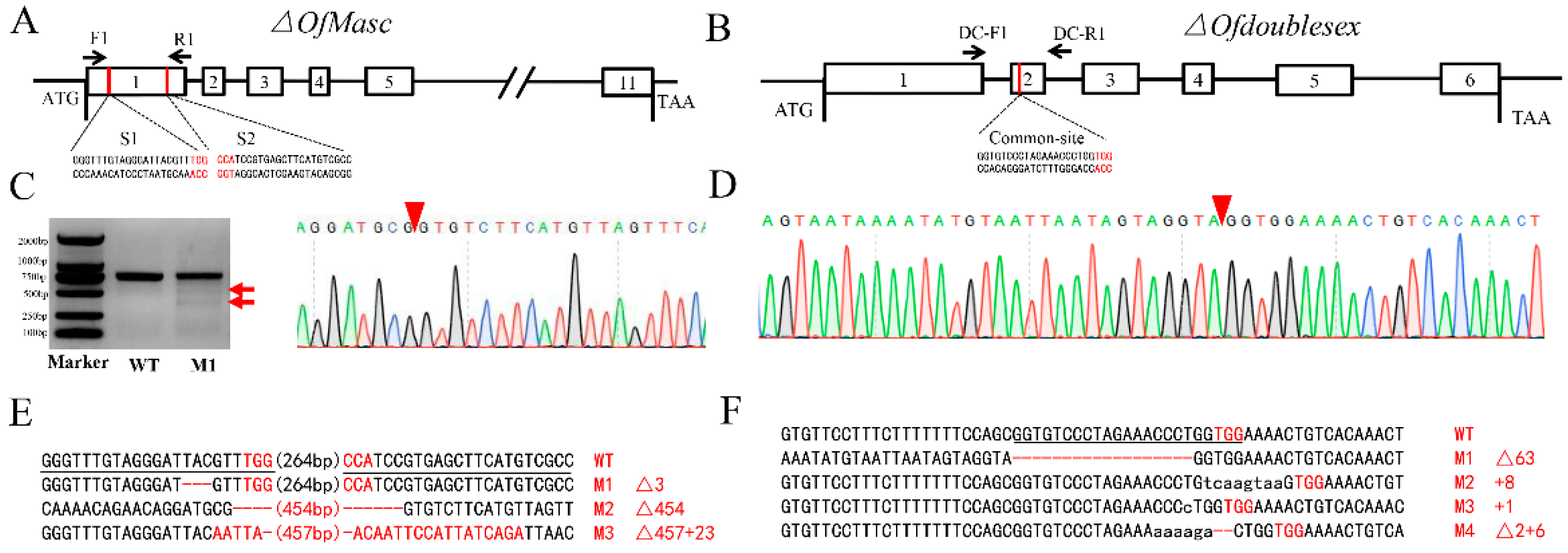Cells 11 02161 g001 Cells 11 02161 g001
