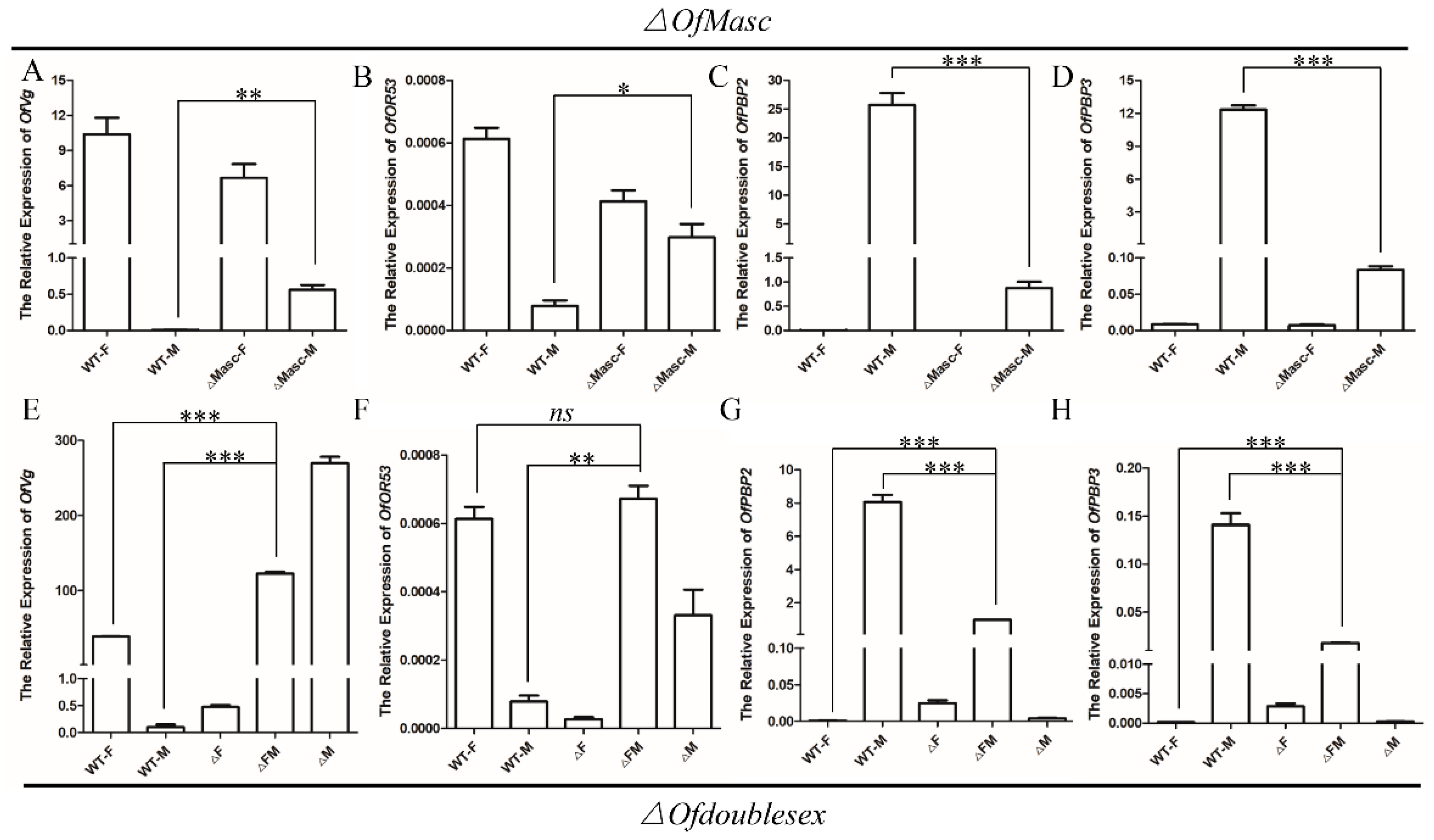 Cells 11 02161 g005 Cells 11 02161 g005