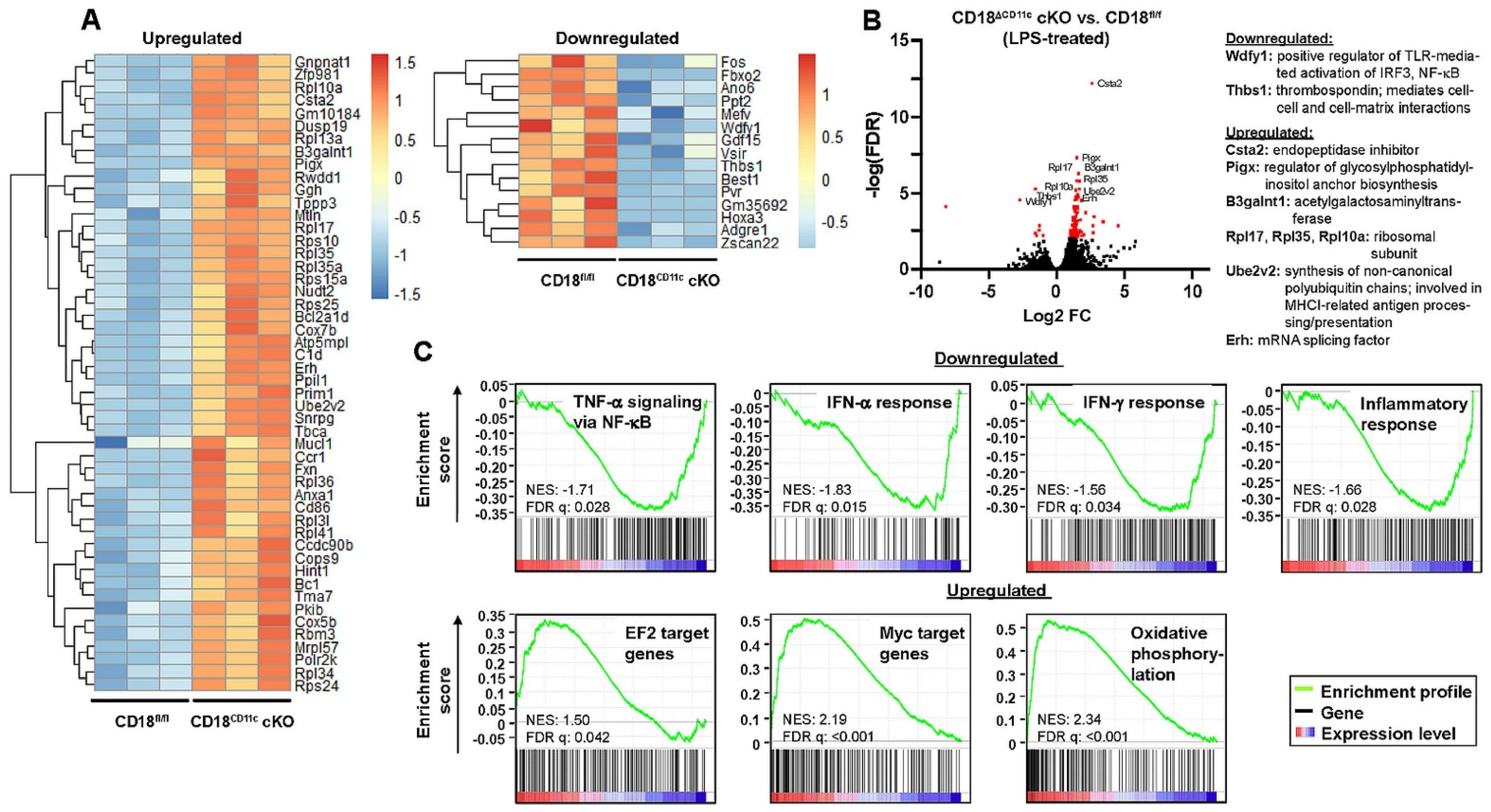 Cells 11 02188 g005 Cells 11 02188 g005