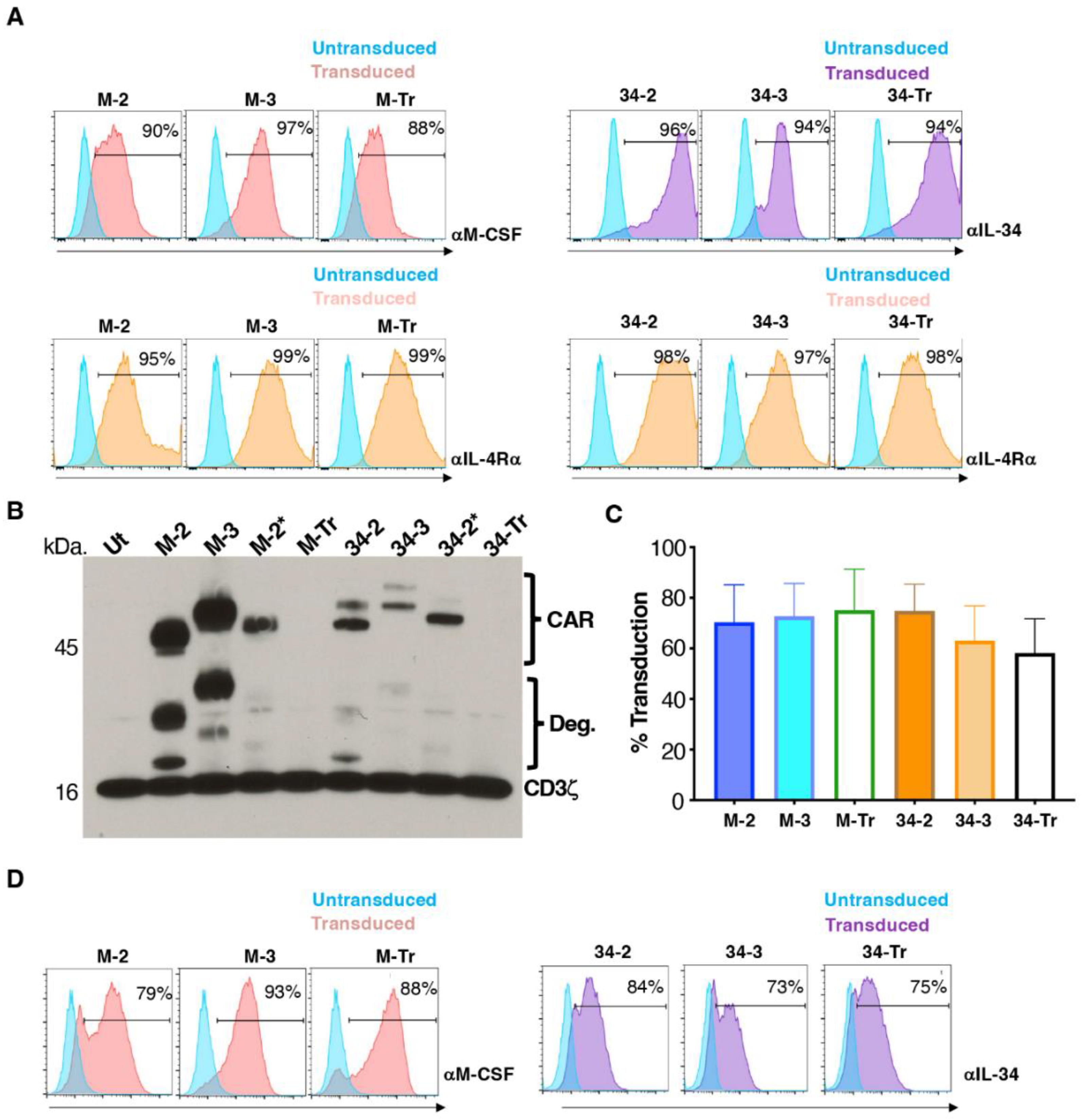 Cells 11 02190 g002 Cells 11 02190 g002