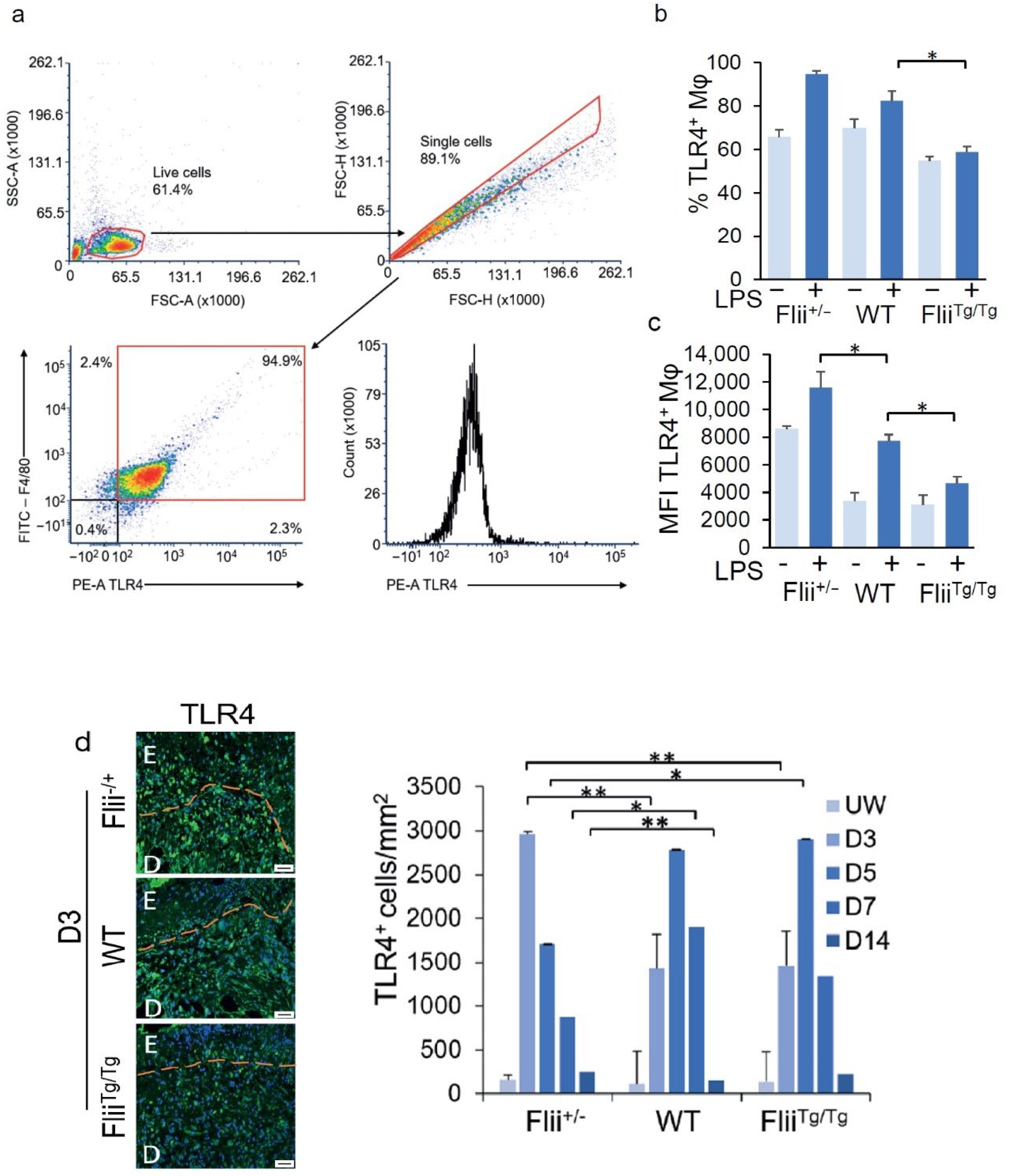 Cells 11 02192 g001 Cells 11 02192 g001