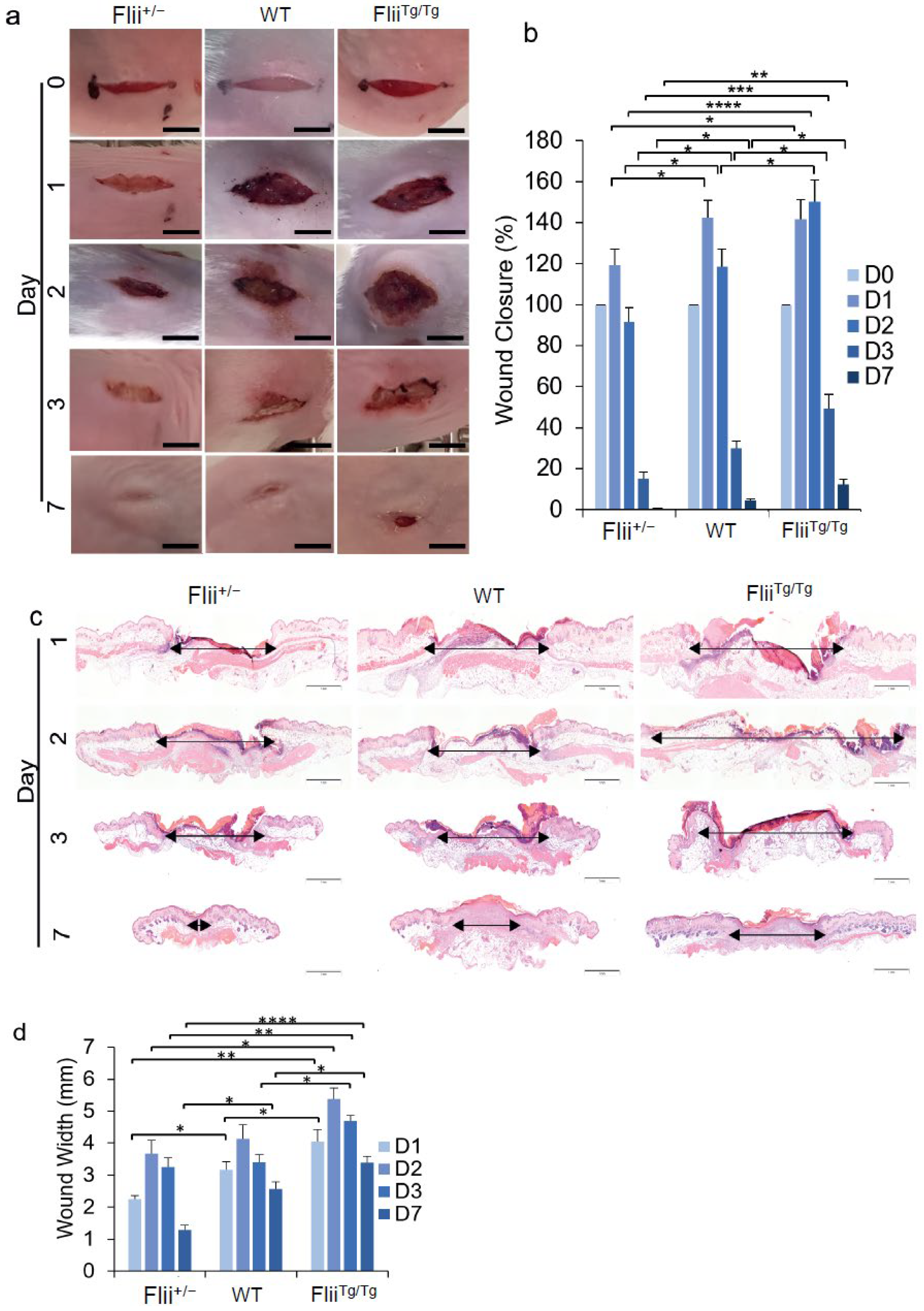 Cells 11 02192 g005 Cells 11 02192 g005