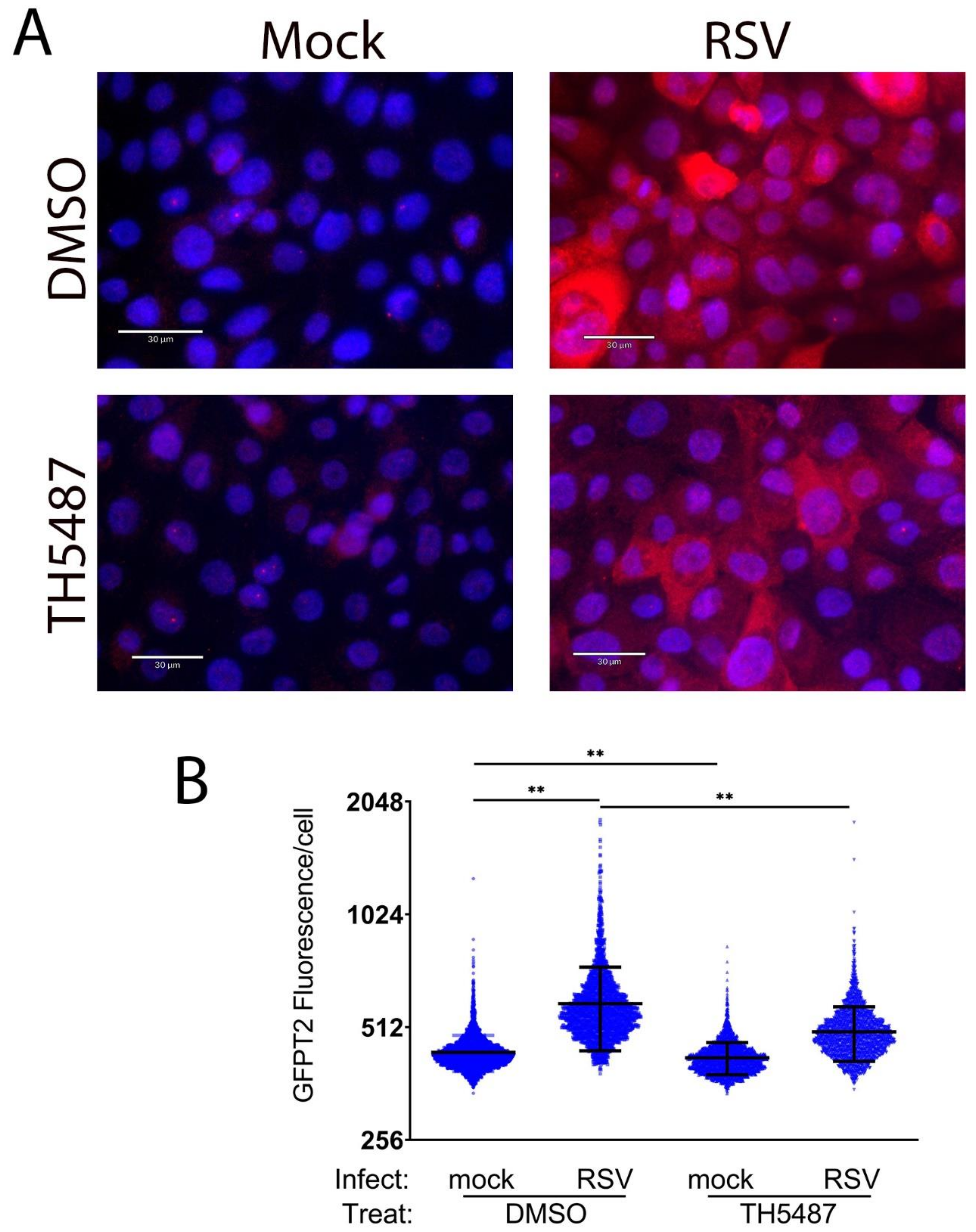 Cells 11 02210 g007