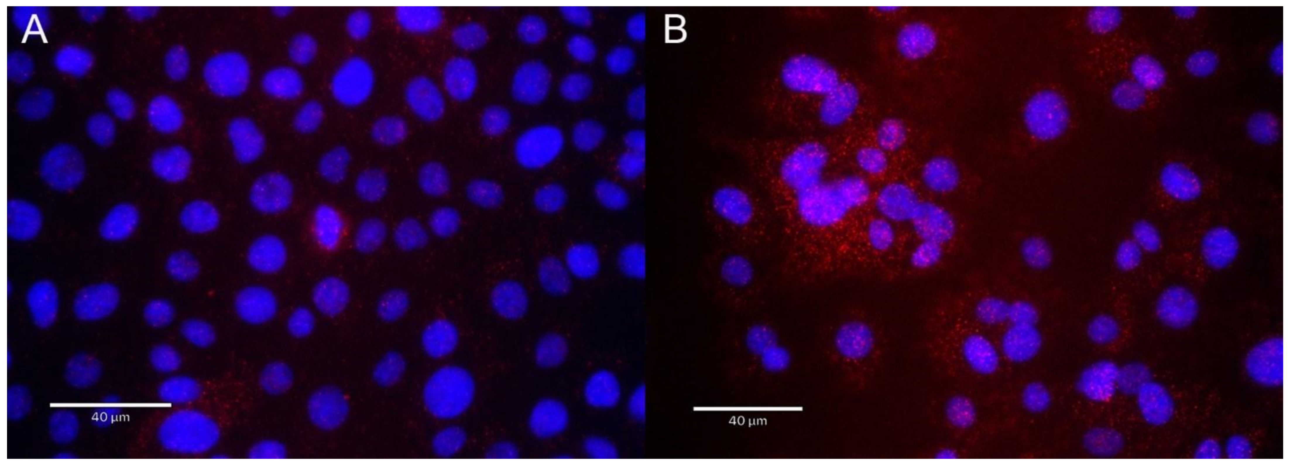 Cells 11 02210 g008