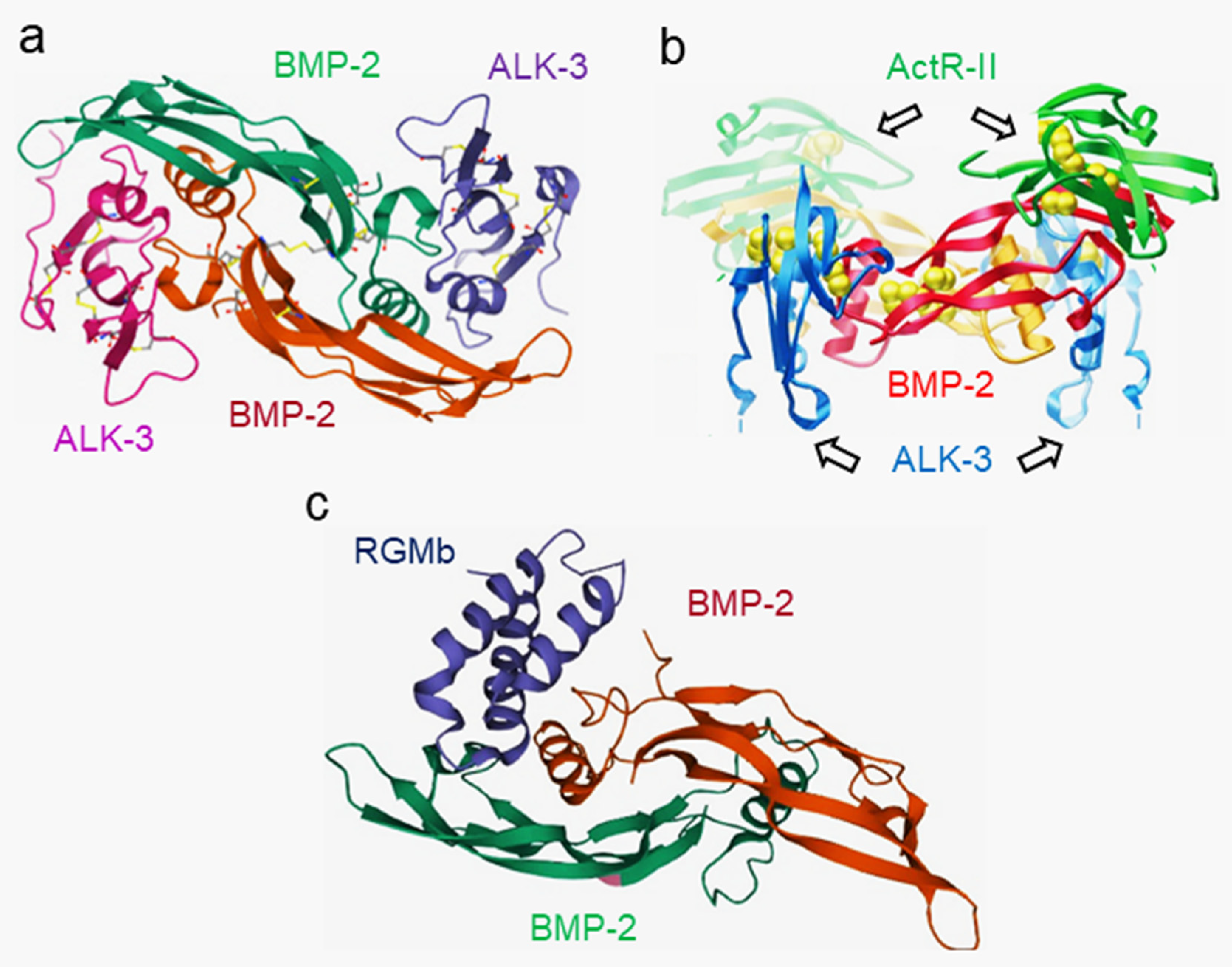 Cells 11 02216 g005 Cells 11 02216 g005