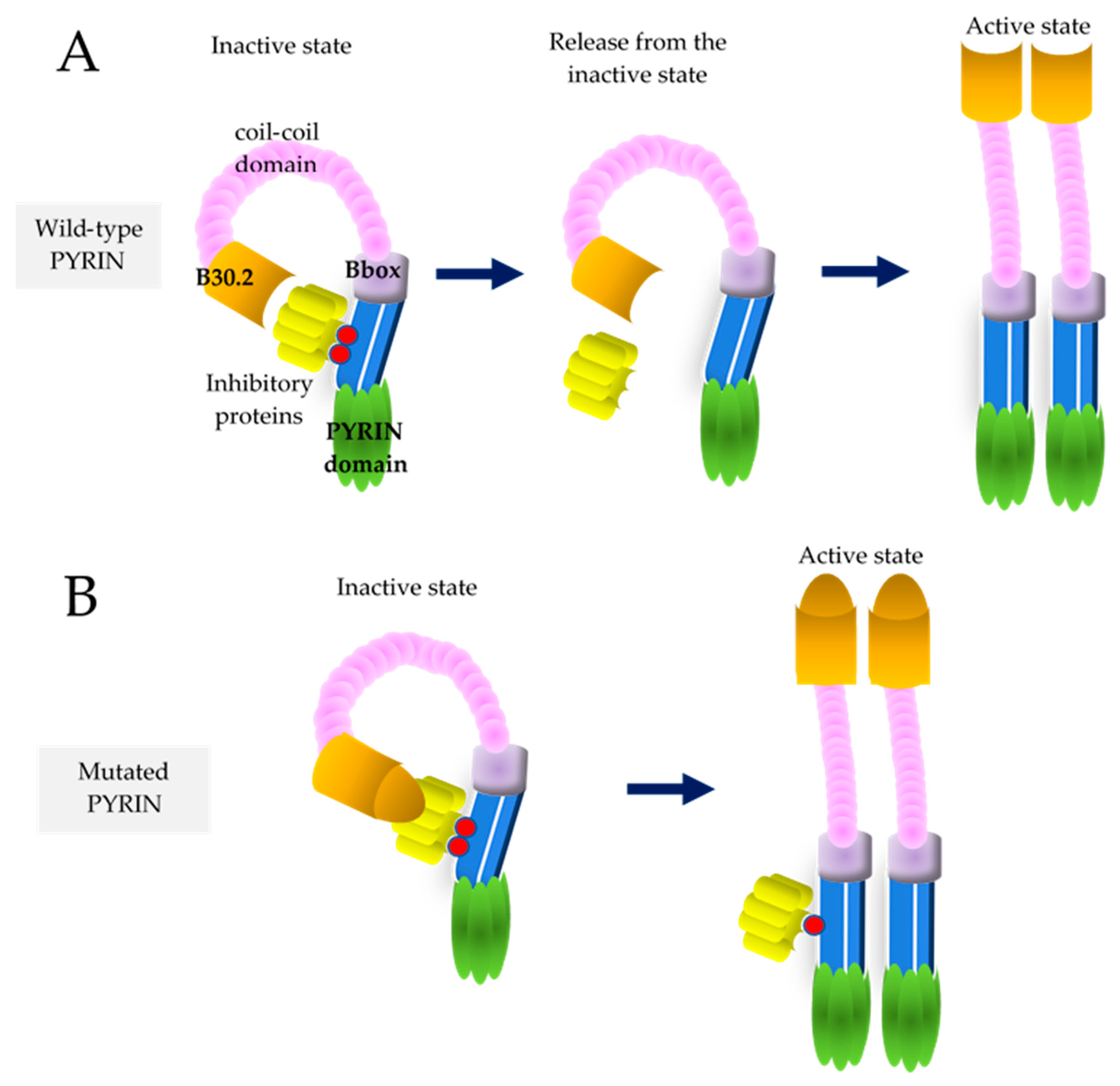 Cells 11 02231 g001 Cells 11 02231 g001
