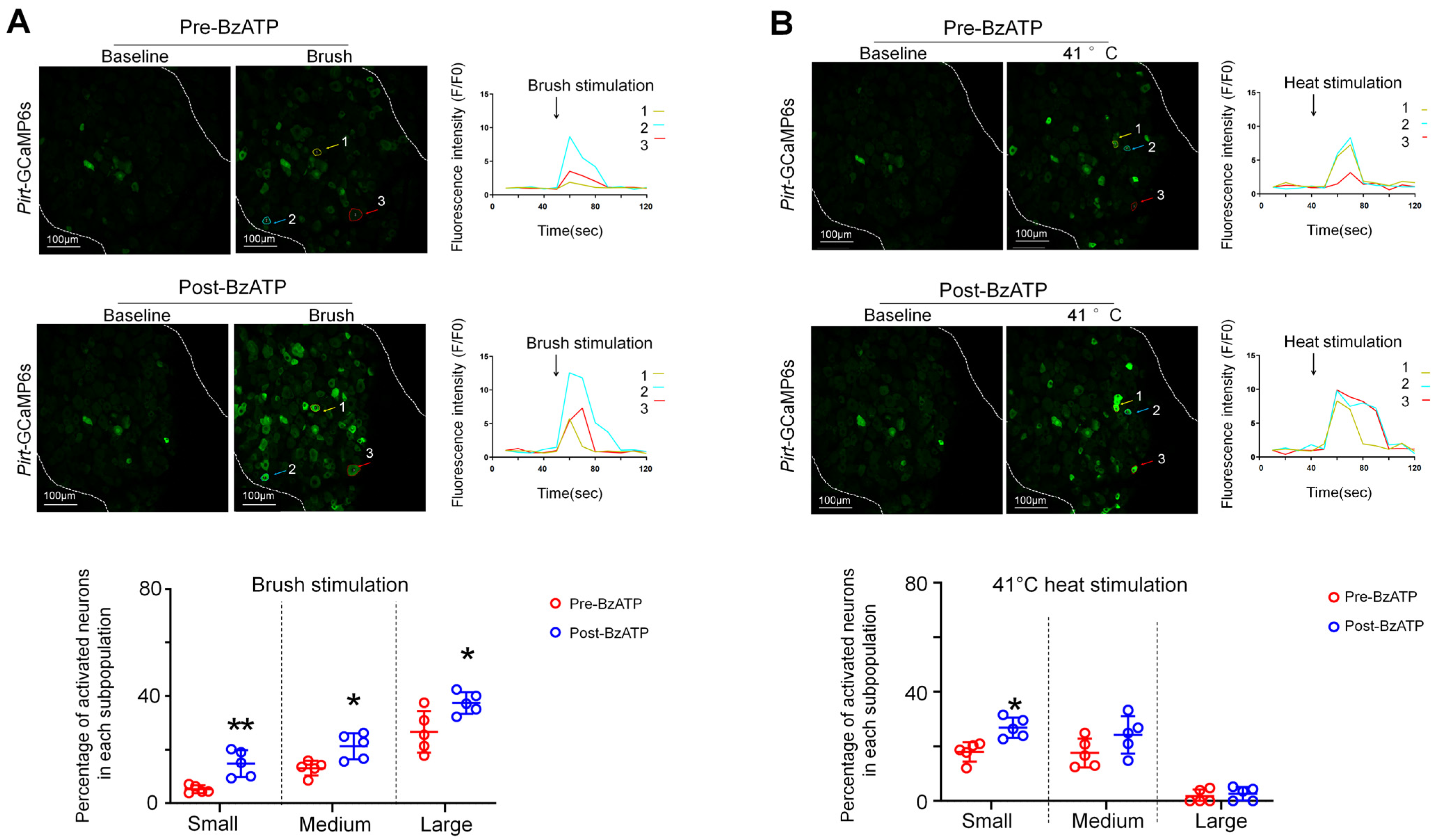 Cells 11 02280 g004