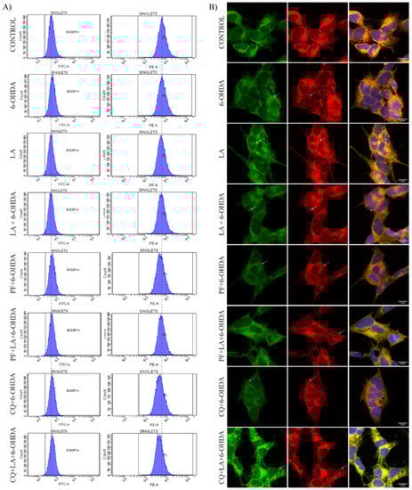 Cells 11 02297 g0a5 550