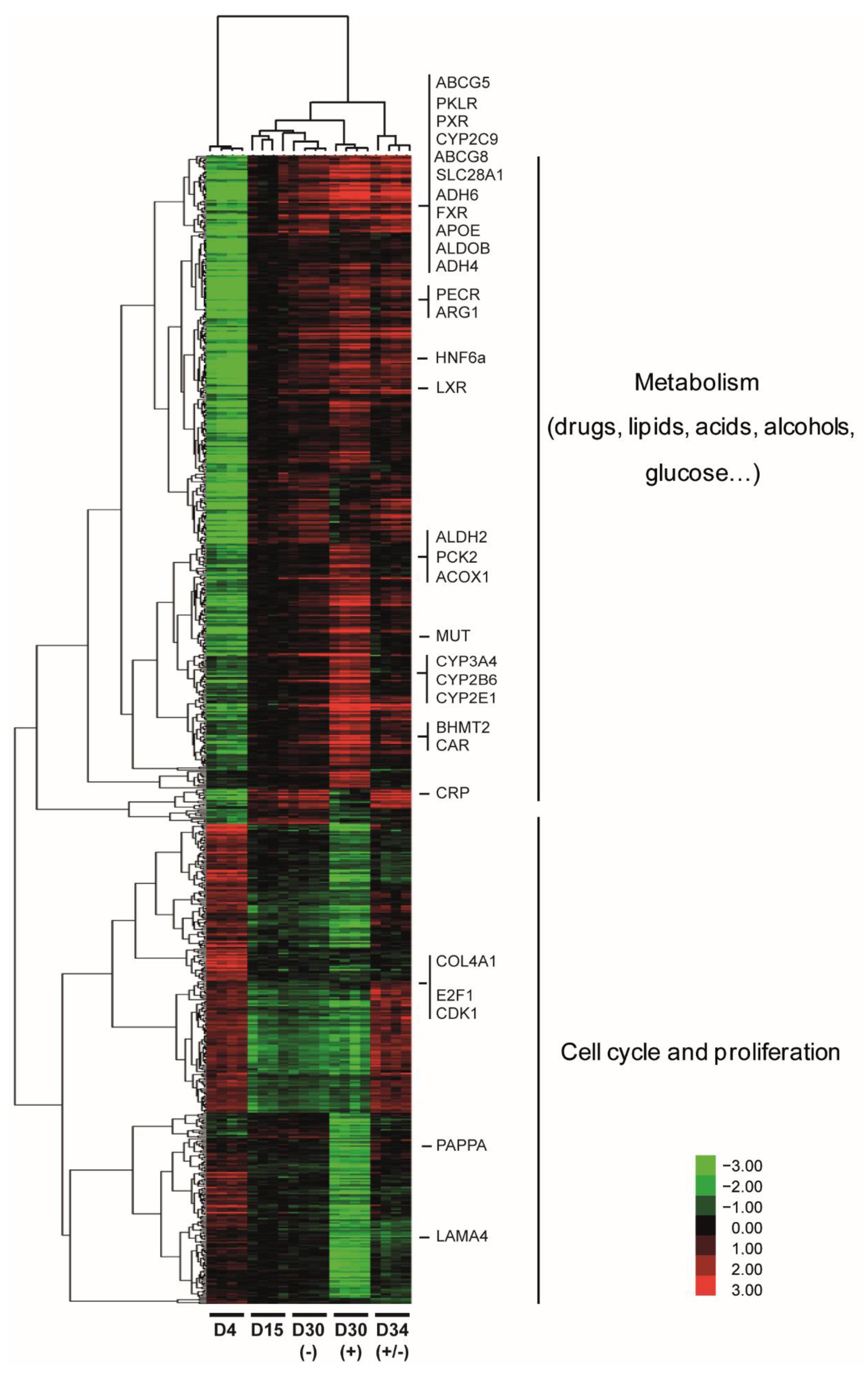 Cells 11 02298 g001 Cells 11 02298 g001