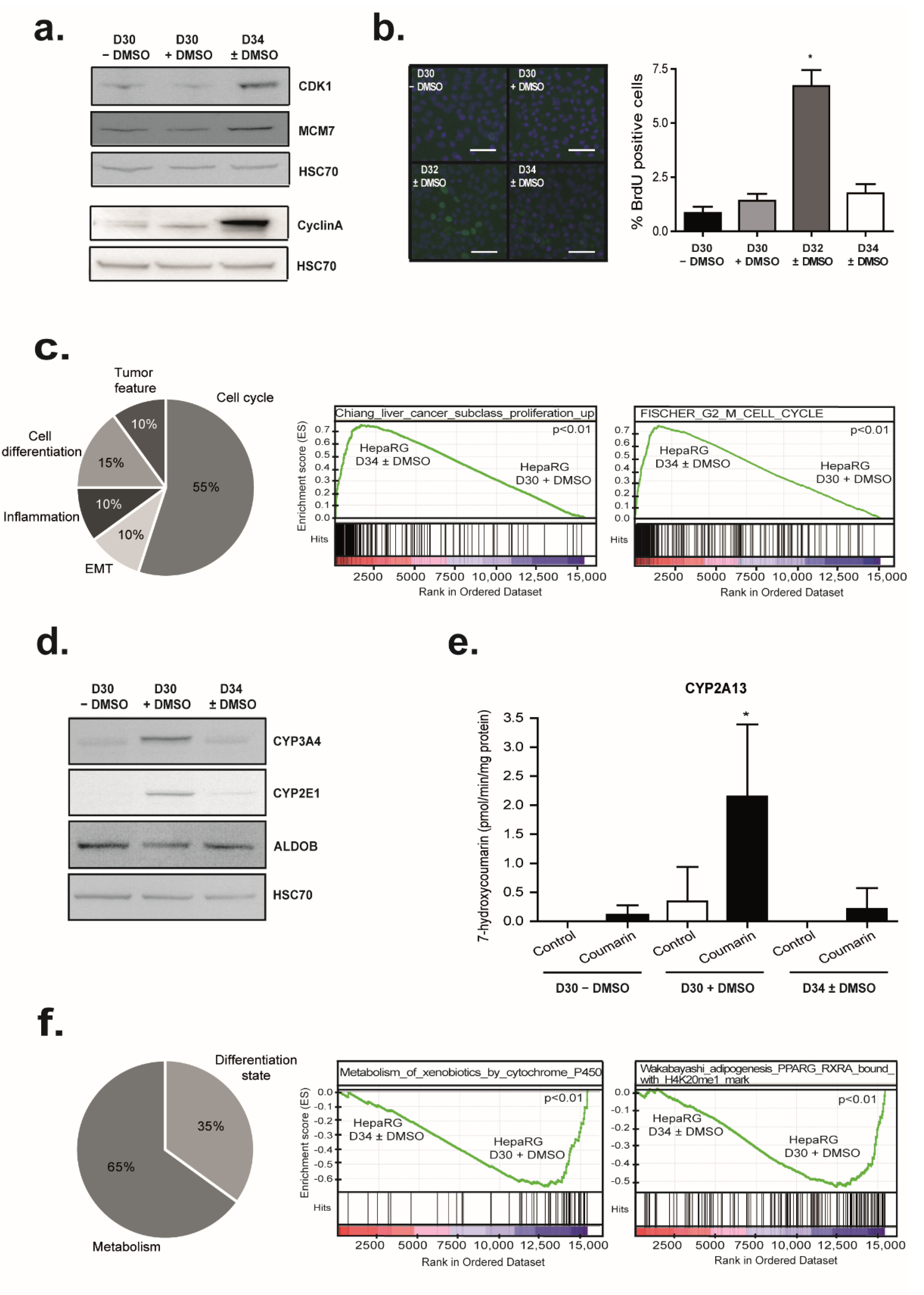 Cells 11 02298 g007 Cells 11 02298 g007