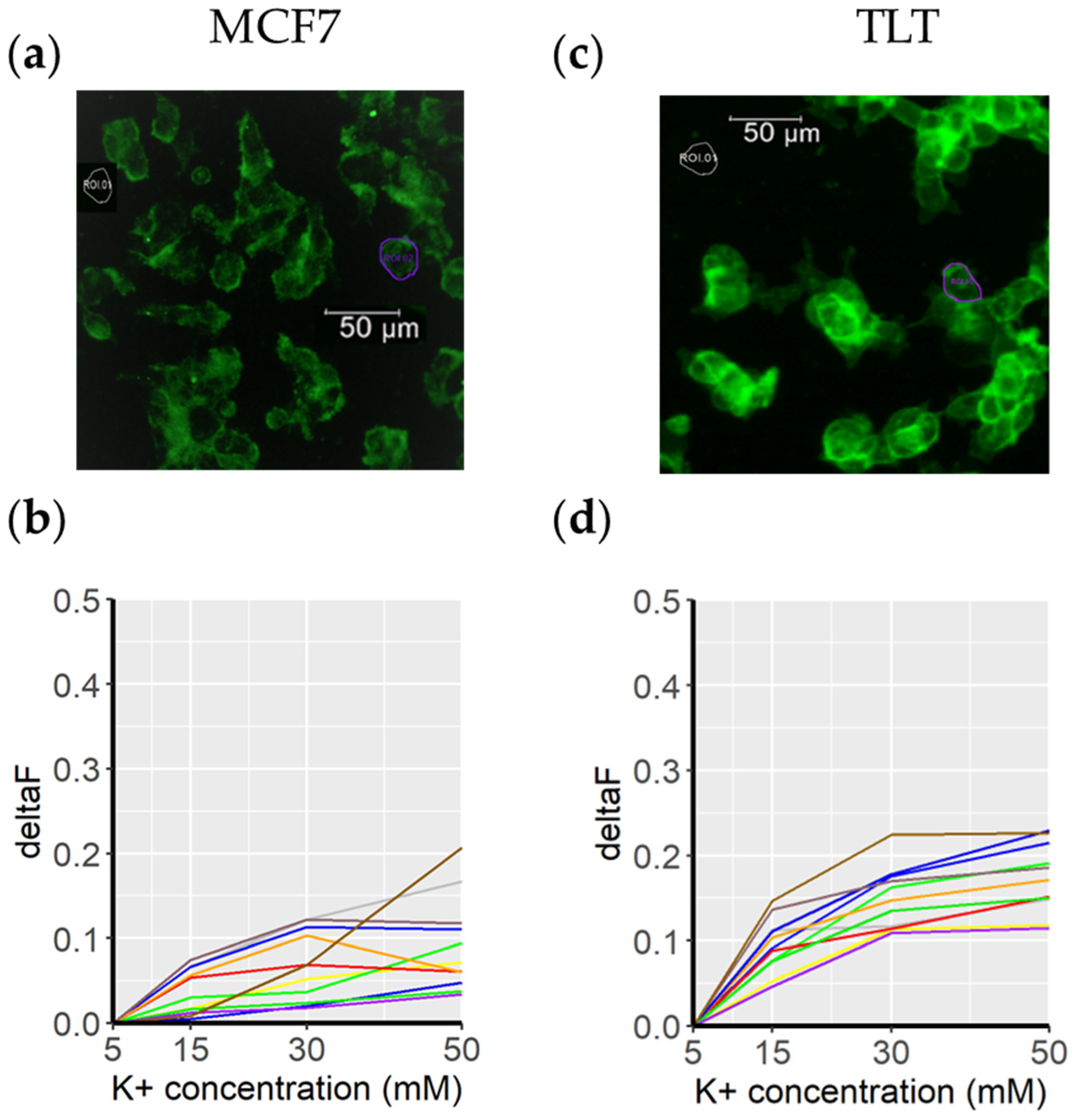 Cells 11 02314 g005 Cells 11 02314 g005