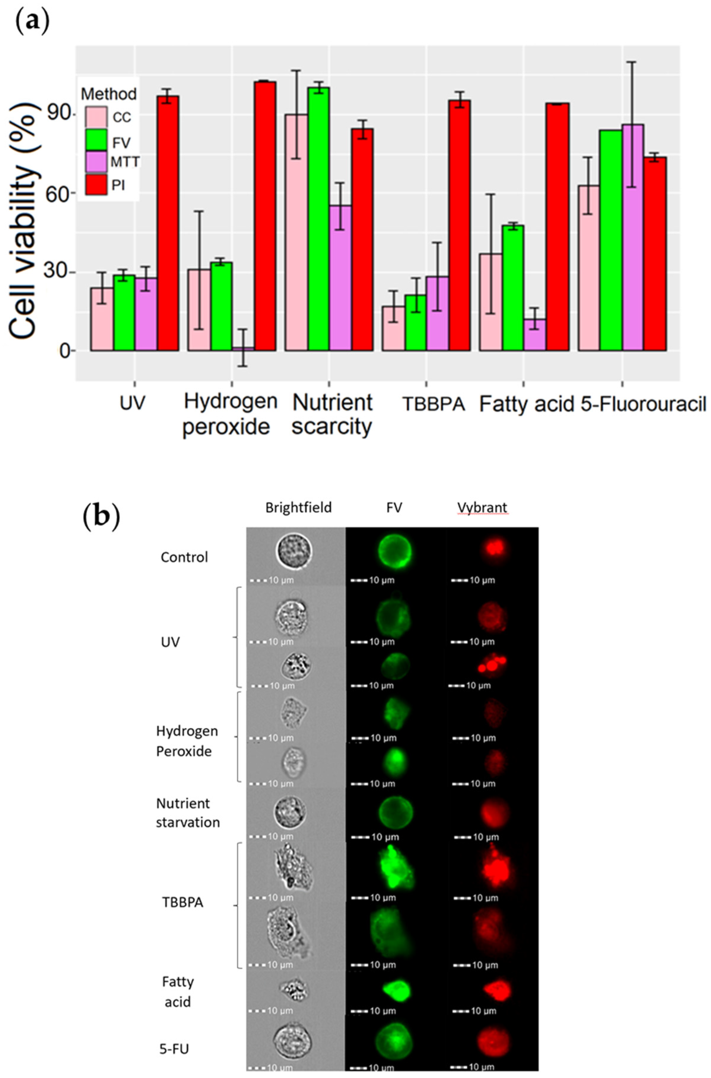 Cells 11 02314 g010 Cells 11 02314 g010