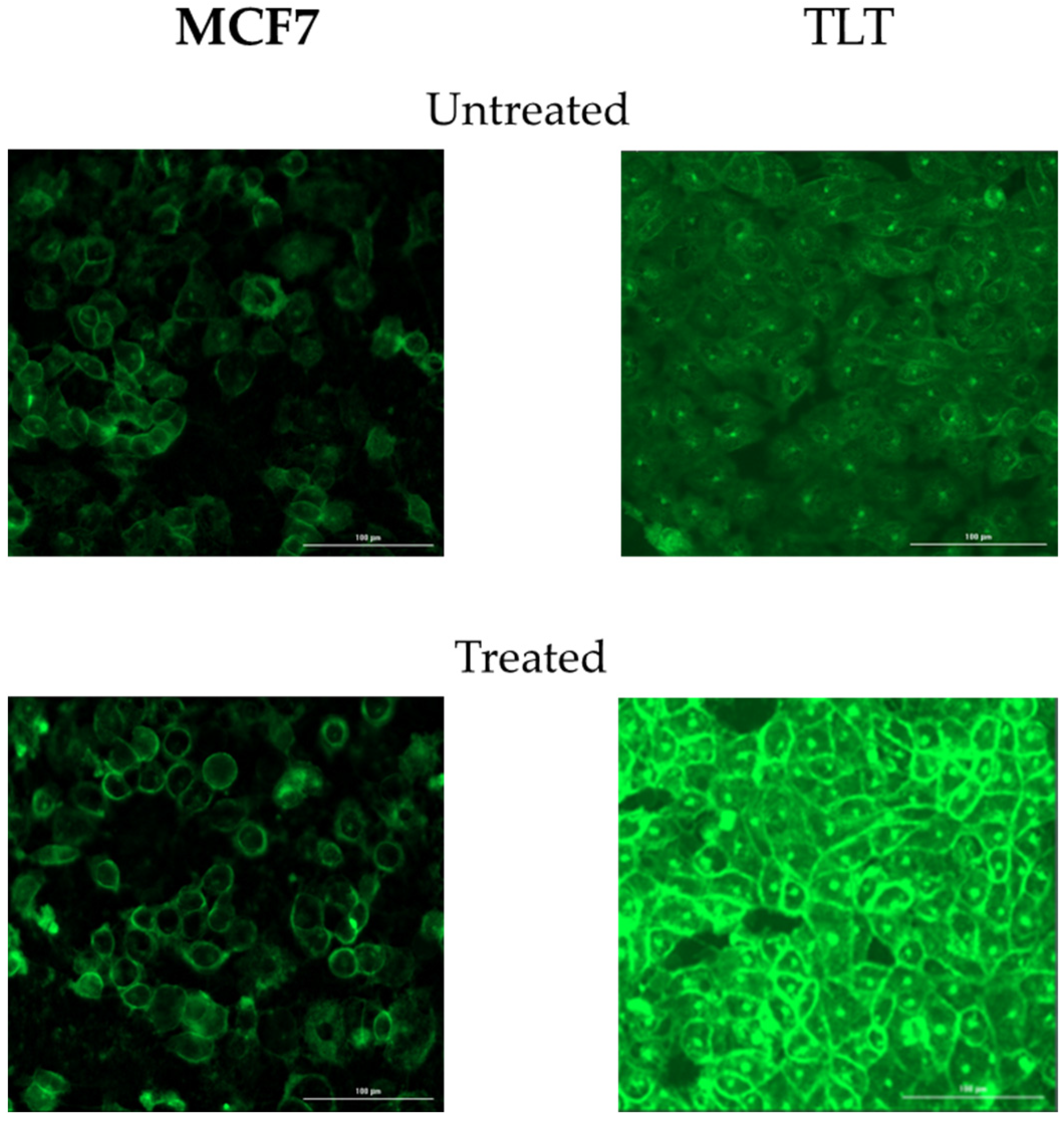 Cells 11 02314 g0a1 Cells 11 02314 g0a1