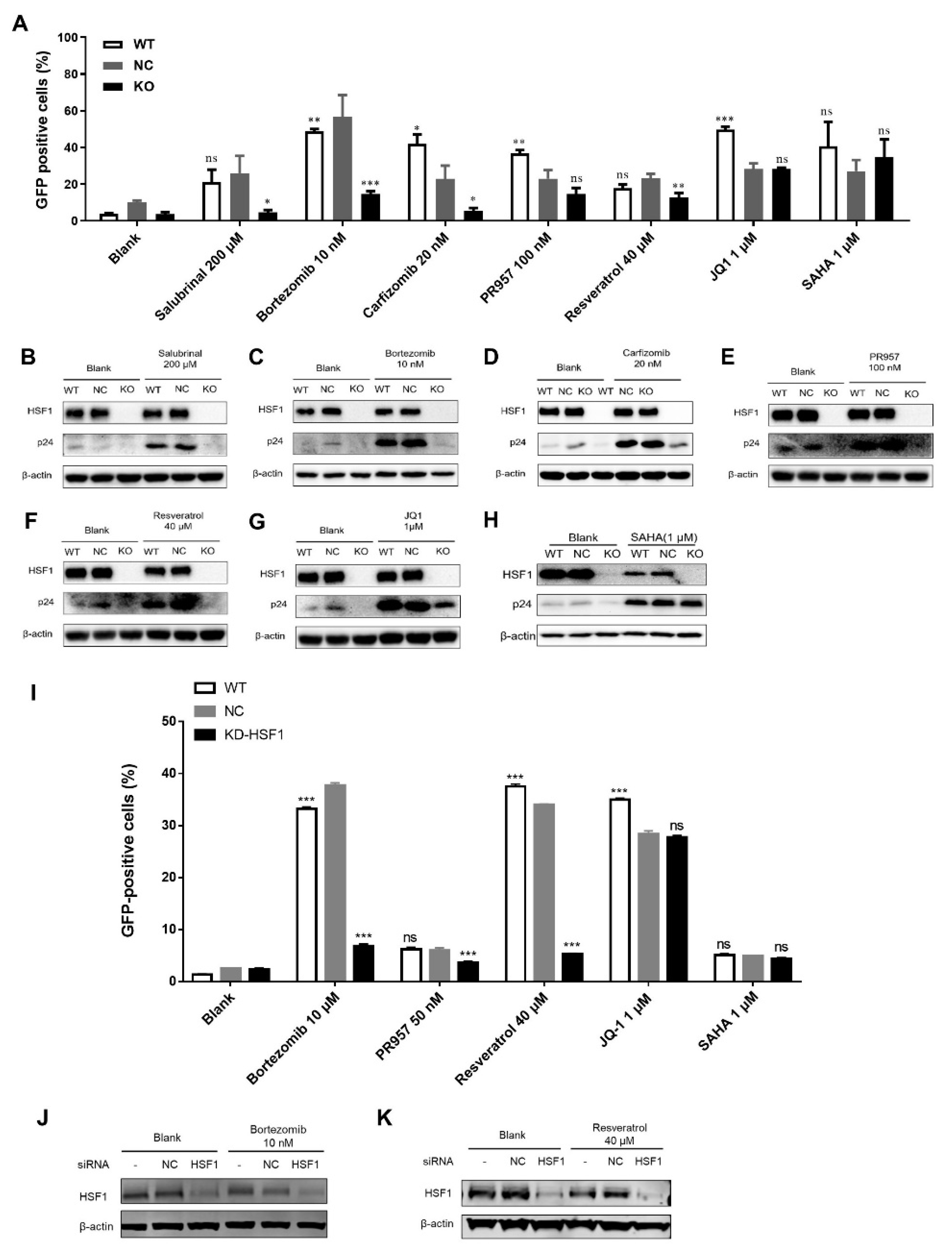 Cells 11 02331 g001 Cells 11 02331 g001