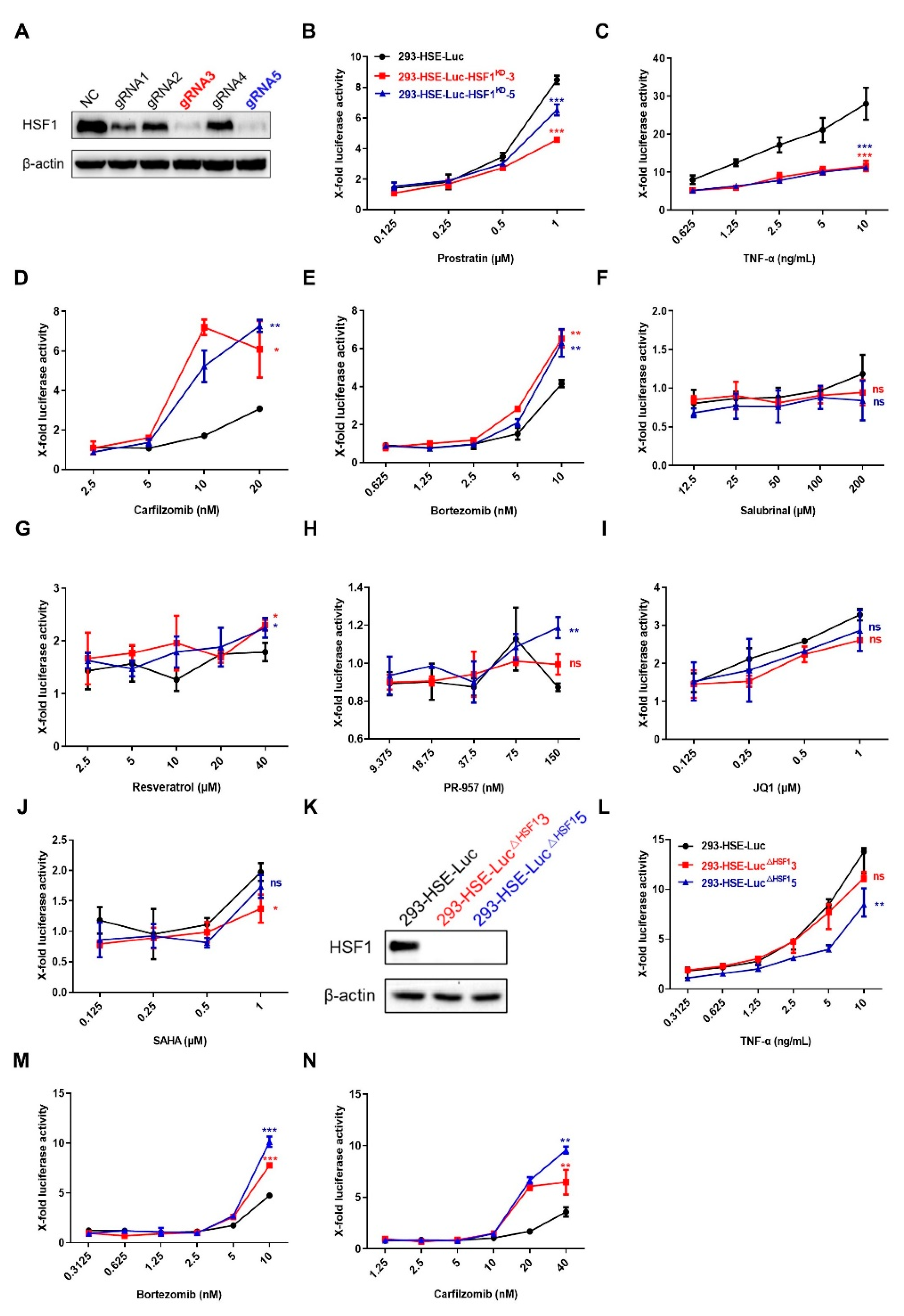 Cells 11 02331 g004 Cells 11 02331 g004
