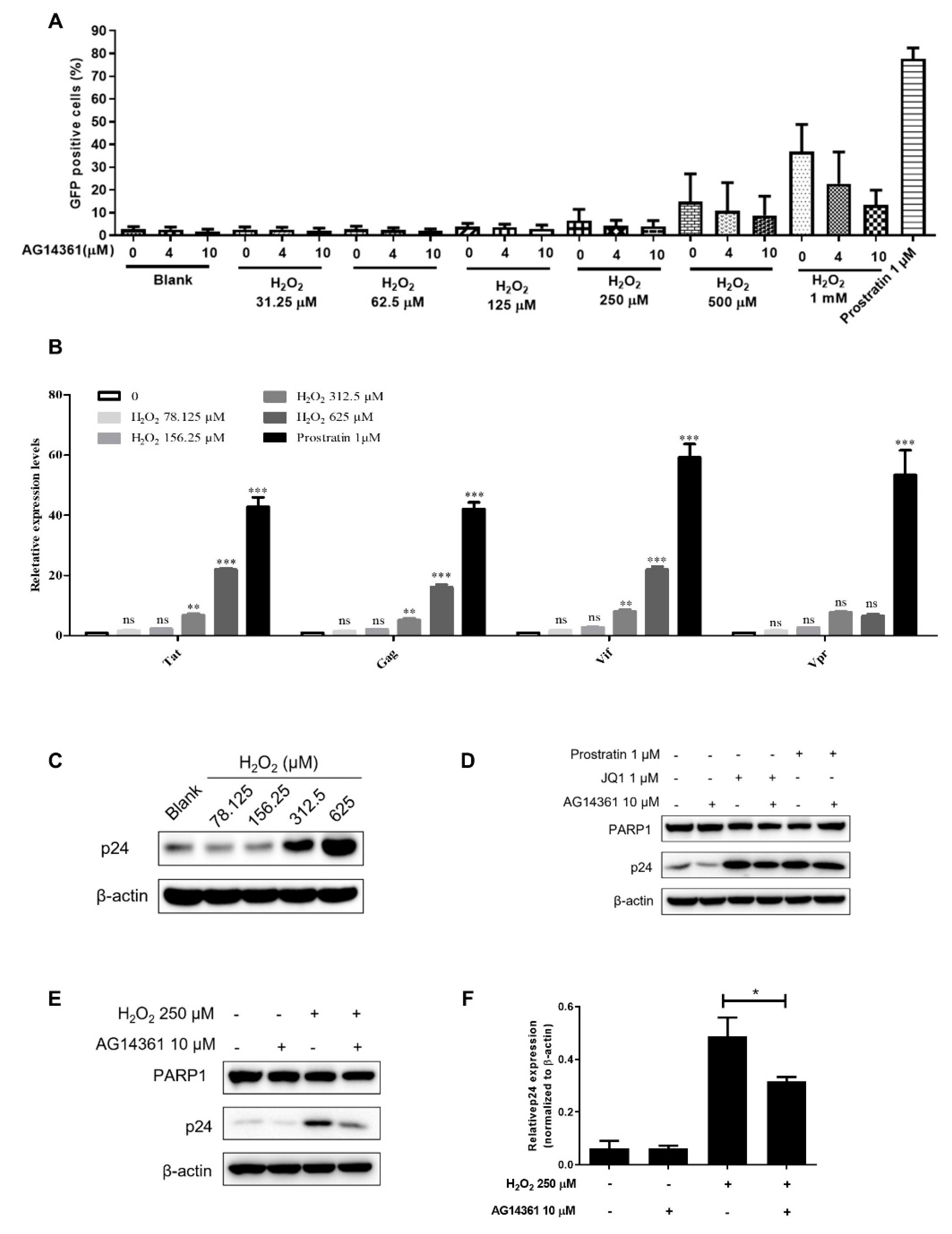 Cells 11 02331 g005 Cells 11 02331 g005
