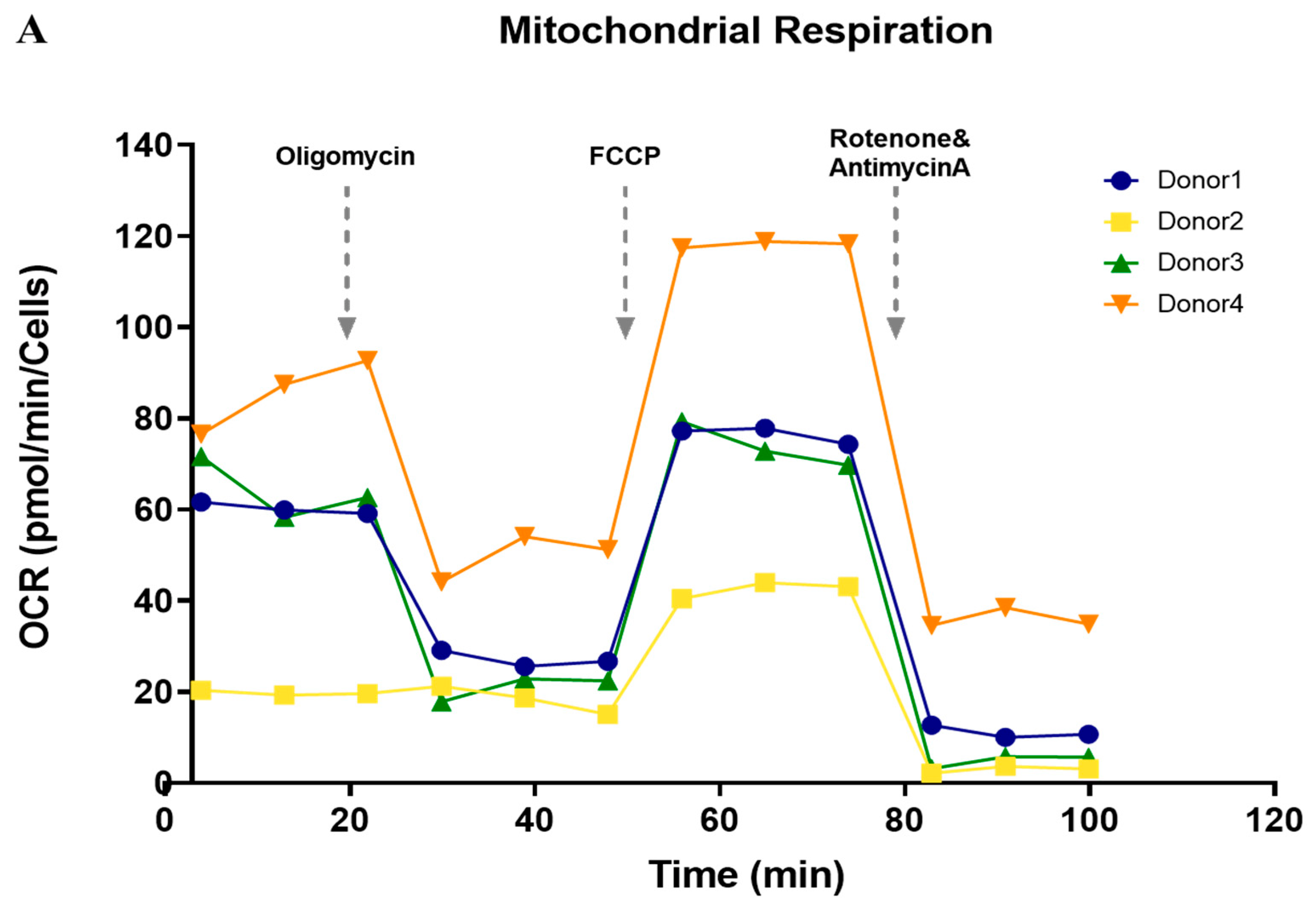 Cells 11 02335 g003a