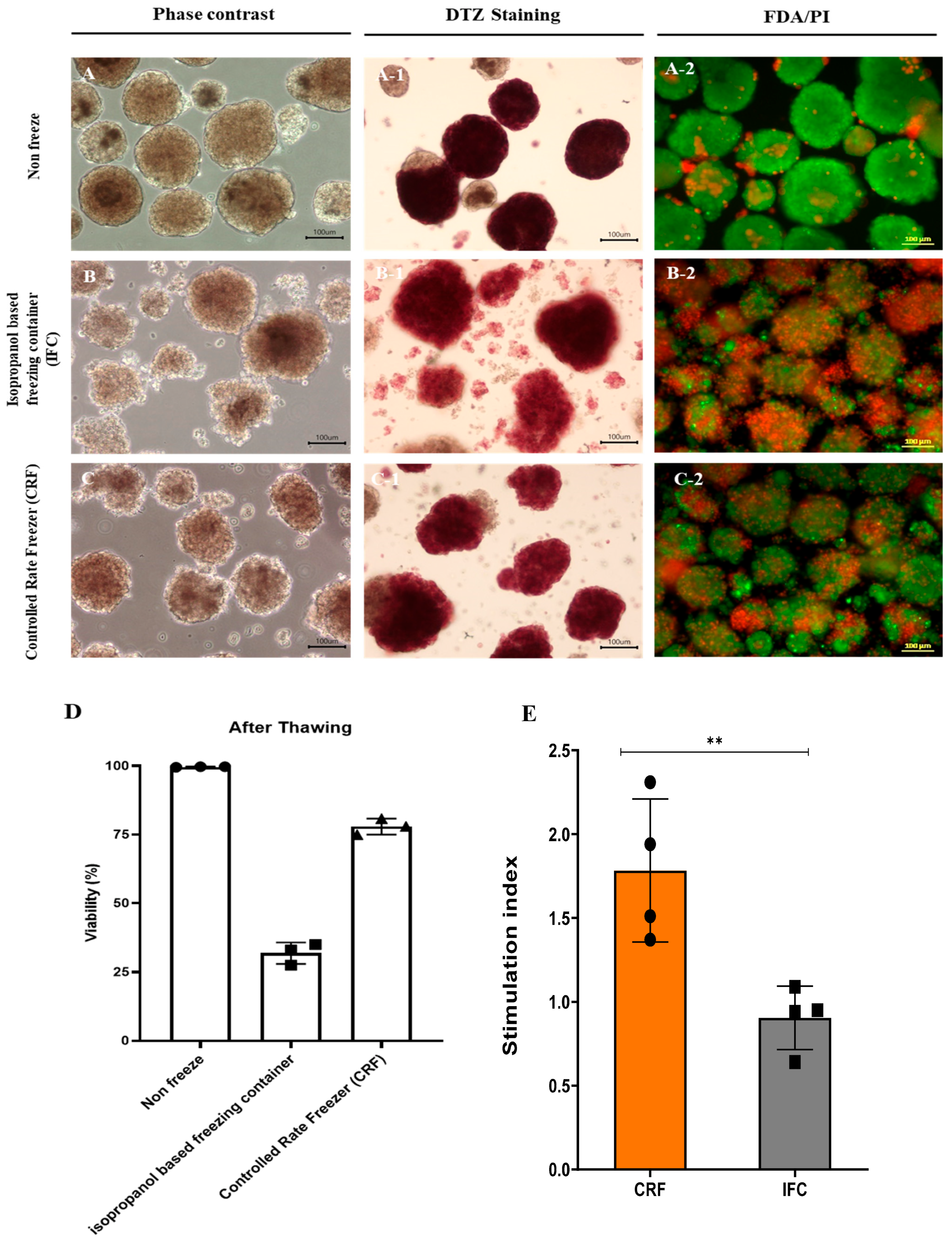 Cells 11 02335 g004a