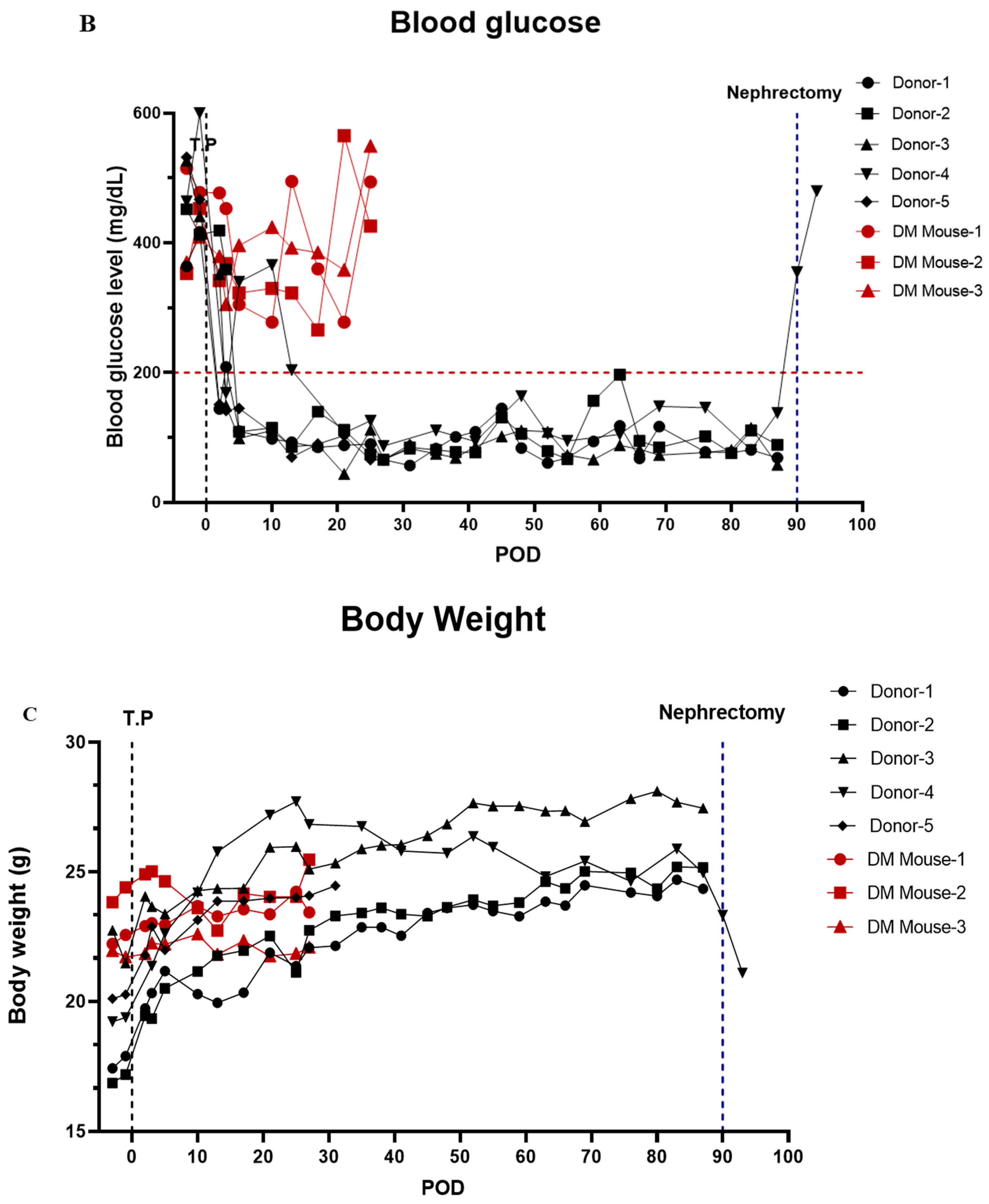Cells 11 02335 g005b