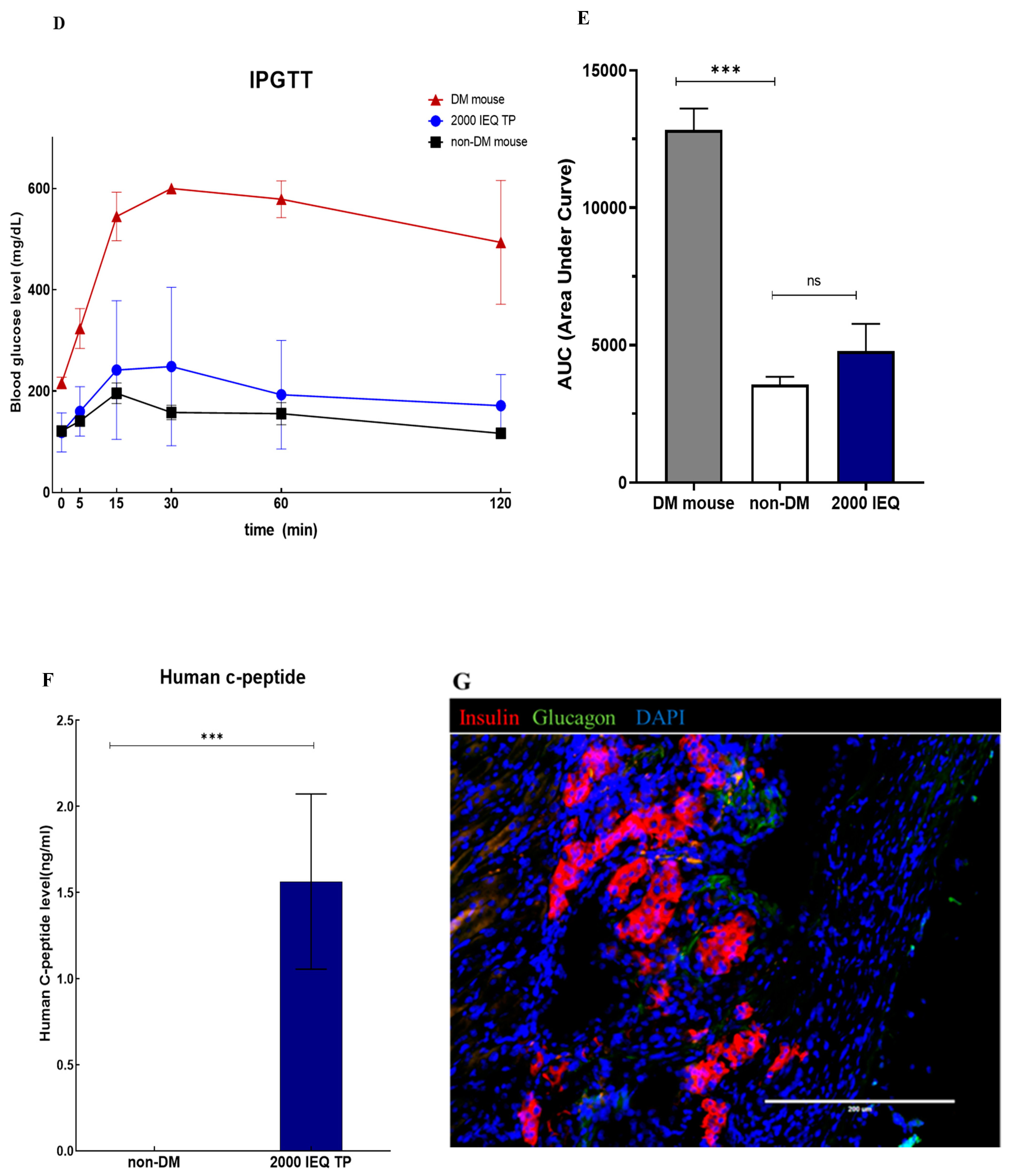 Cells 11 02335 g005c
