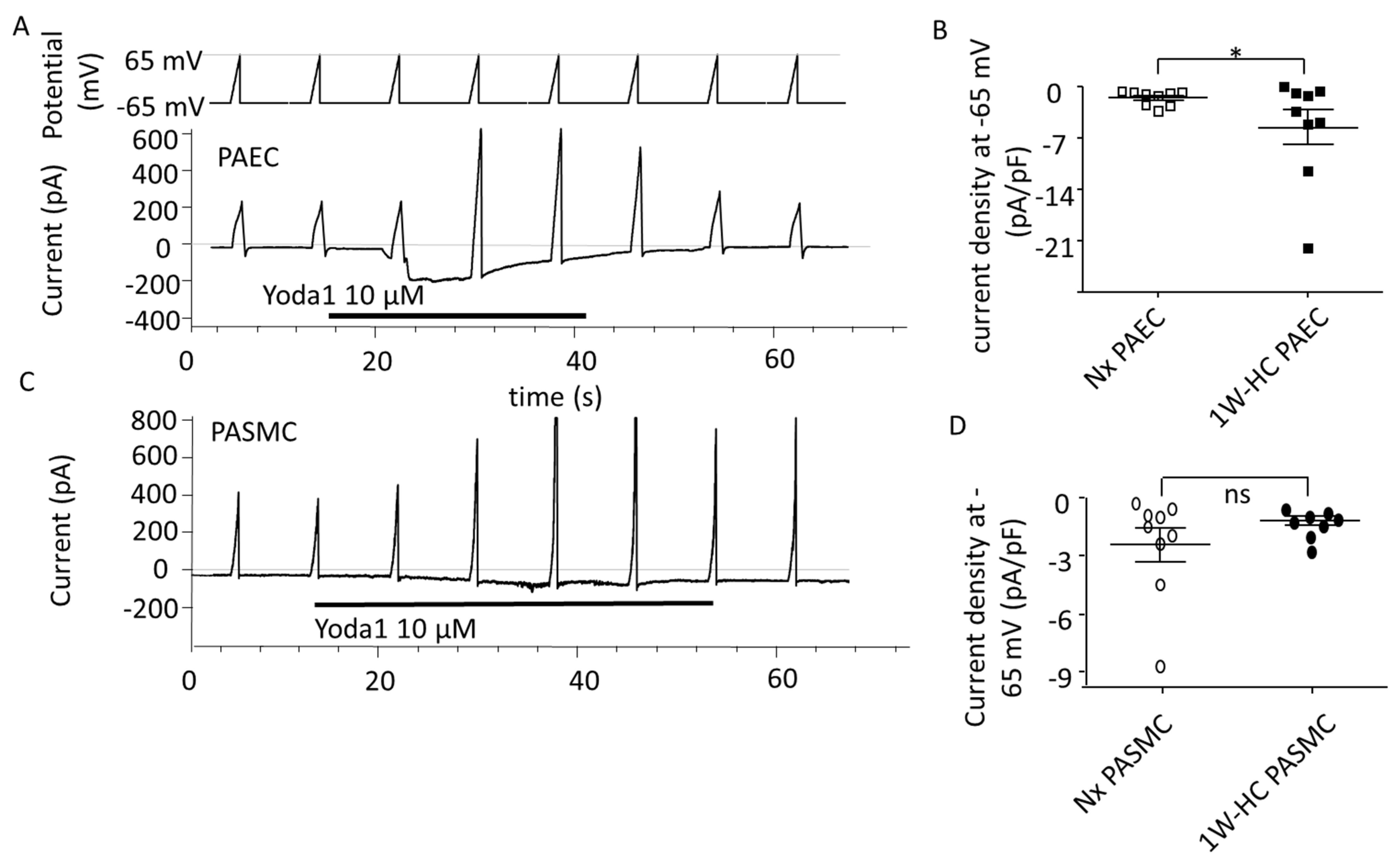 Cells 11 02349 g005 Cells 11 02349 g005