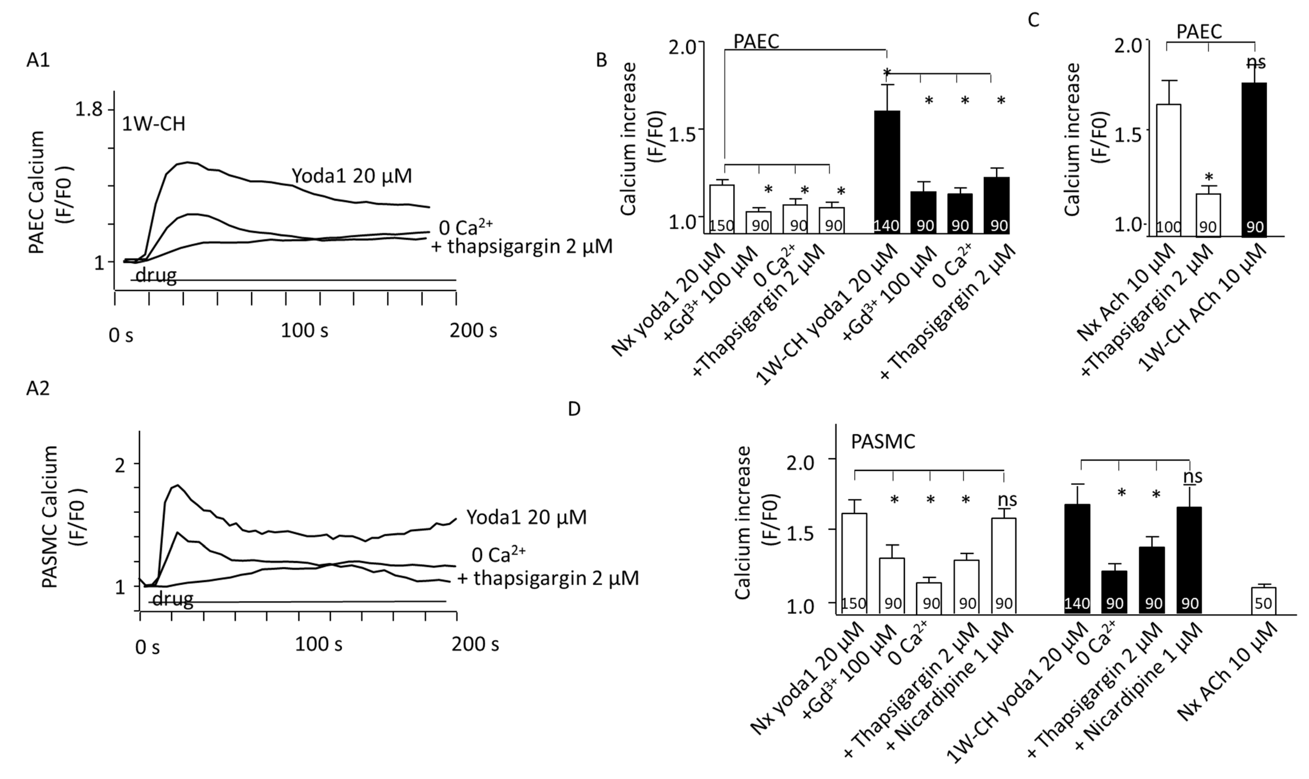 Cells 11 02349 g006 Cells 11 02349 g006