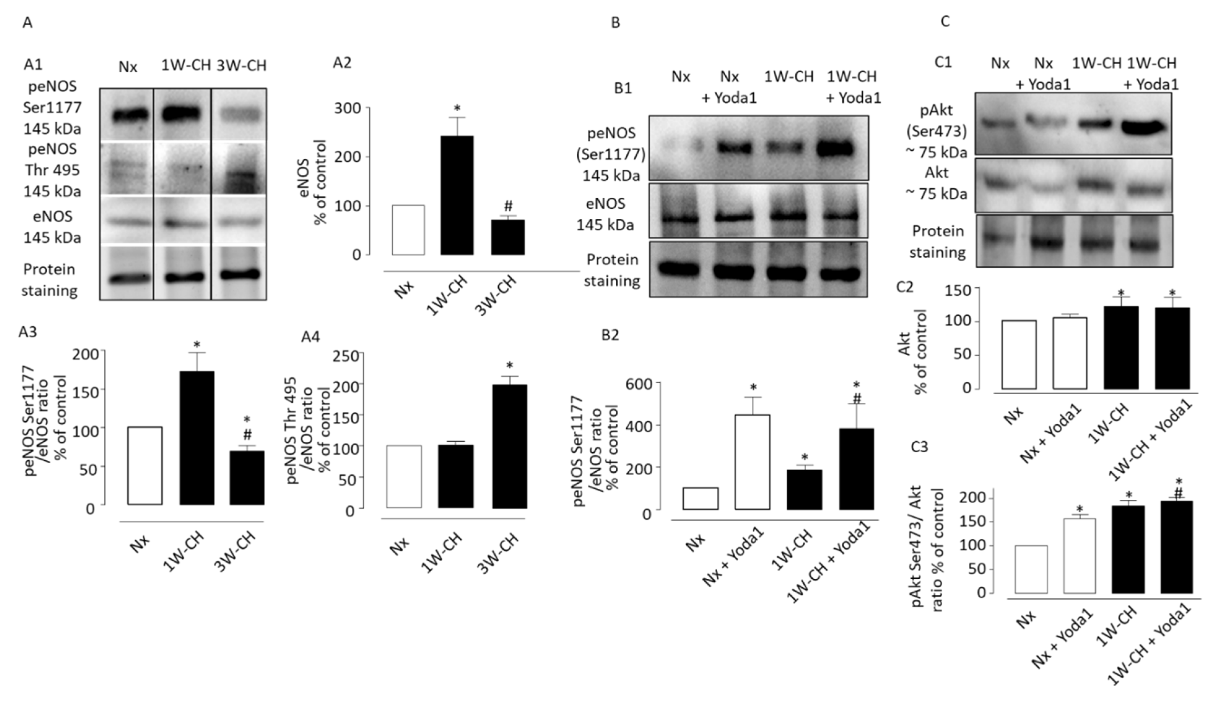 Cells 11 02349 g008 Cells 11 02349 g008