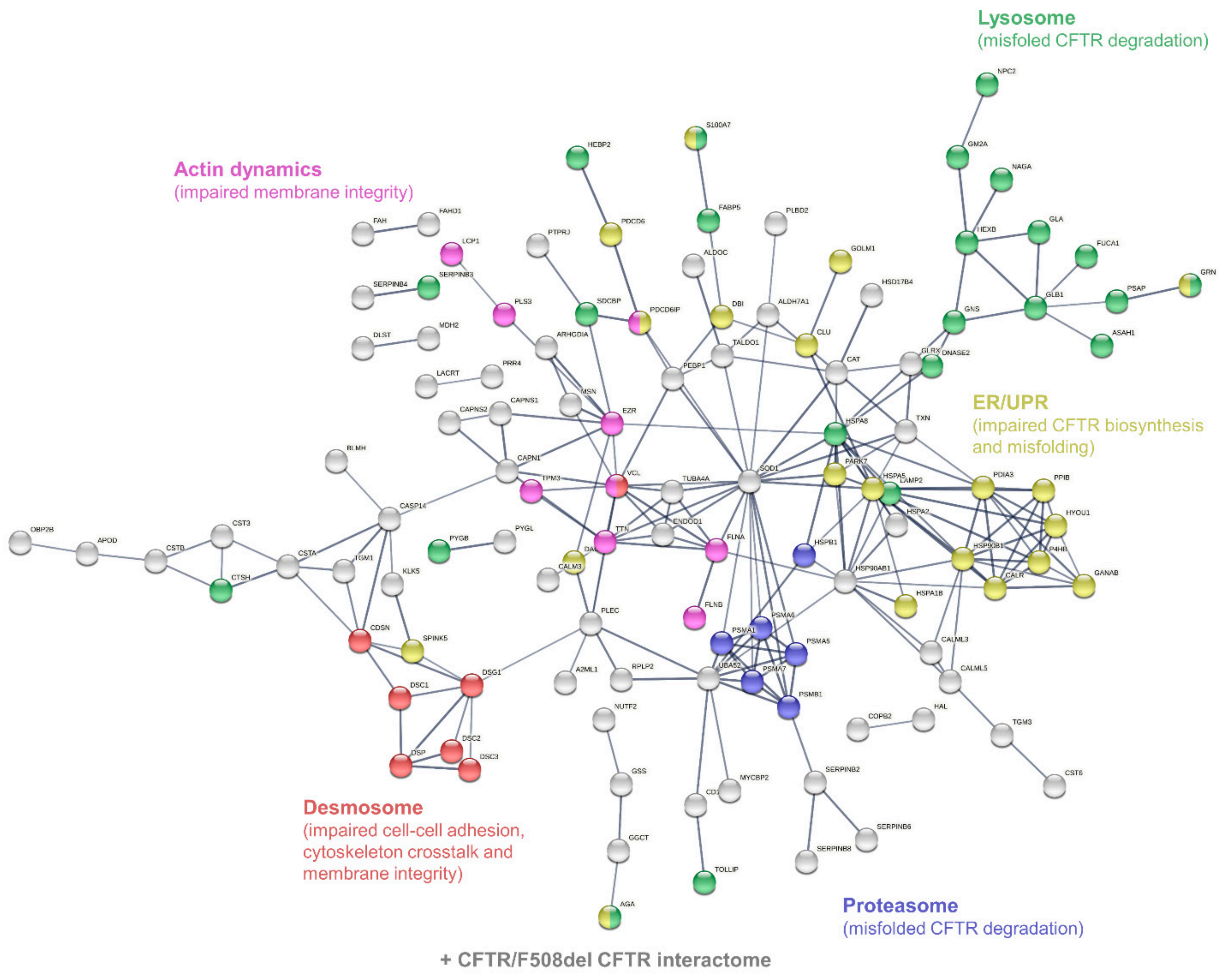 Cells 11 02358 g005 Cells 11 02358 g005