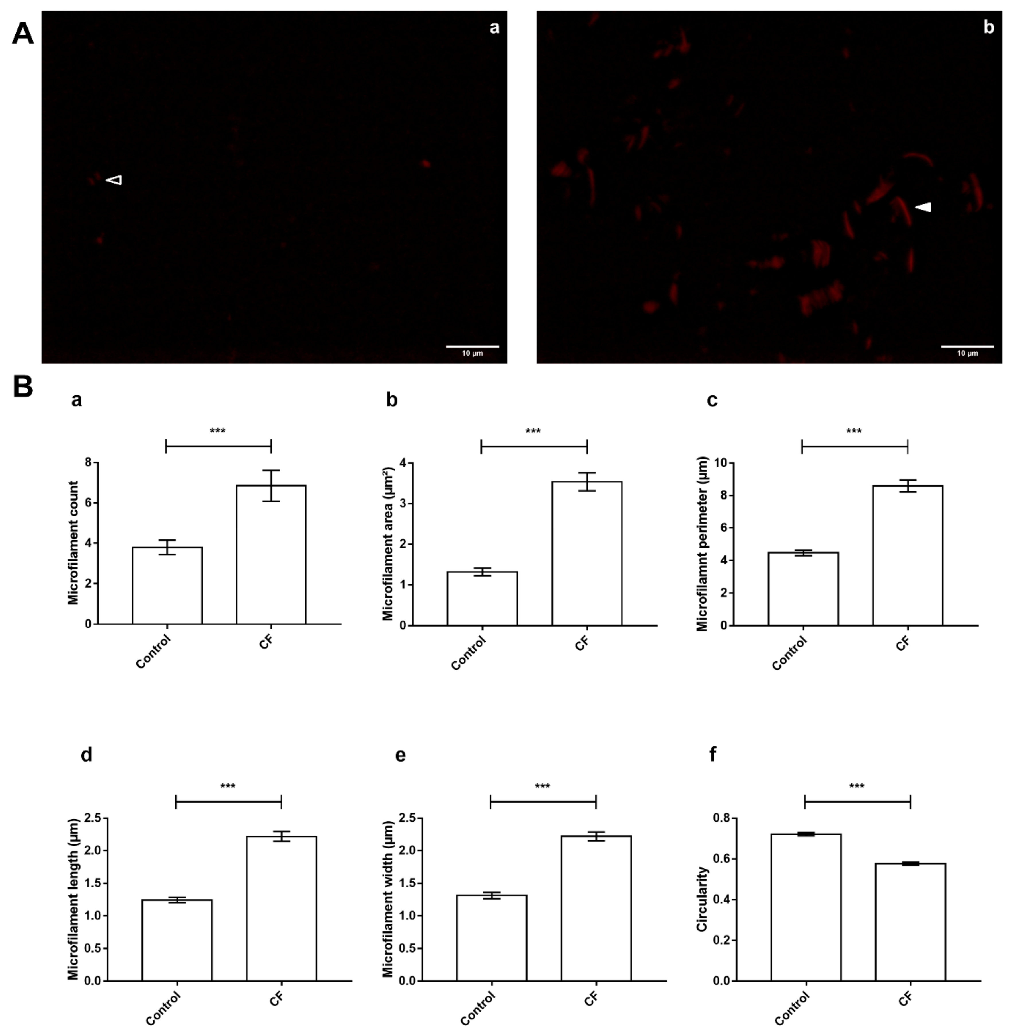 Cells 11 02358 g007 Cells 11 02358 g007