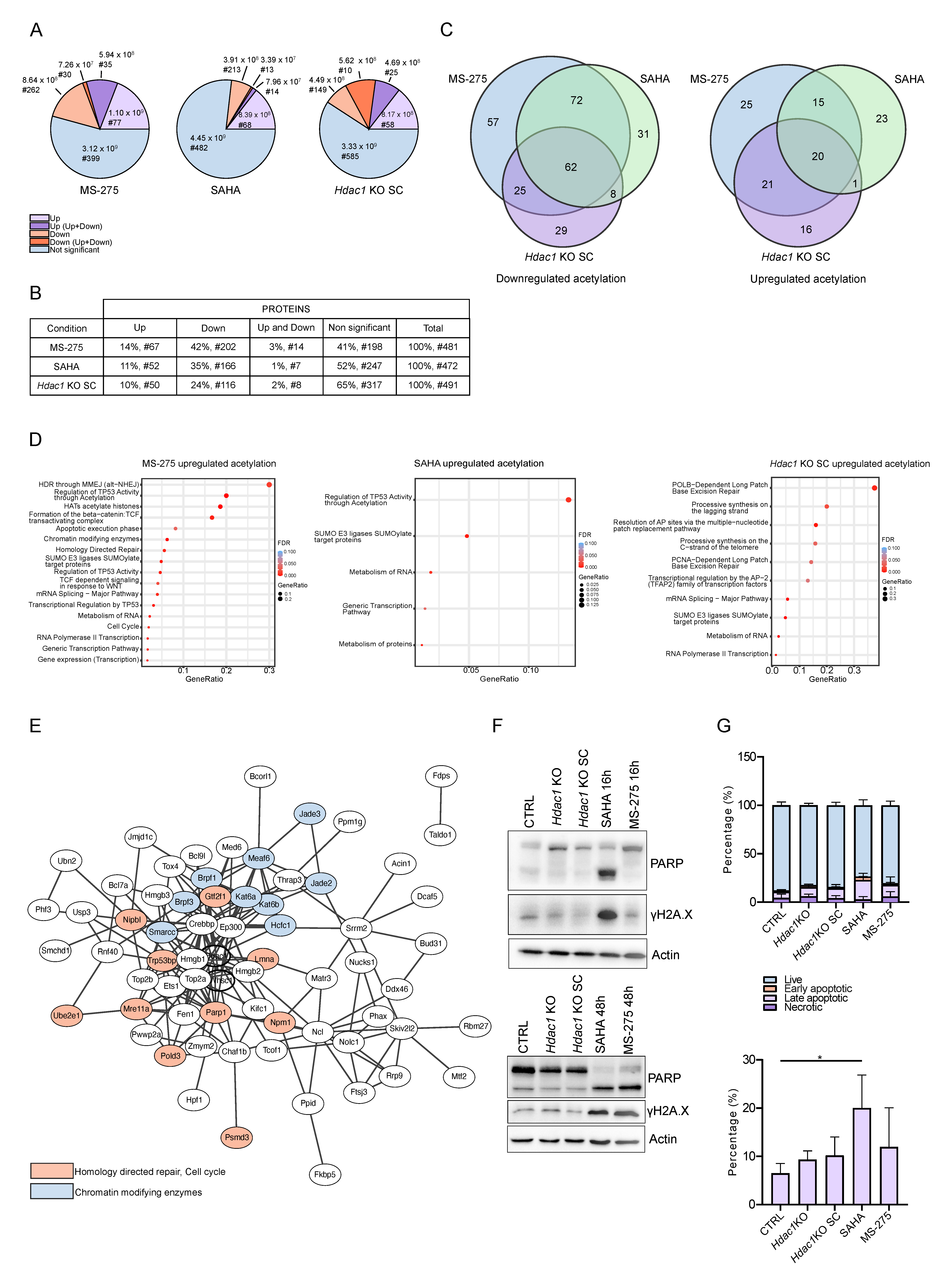 Cells 11 02380 g005 Cells 11 02380 g005