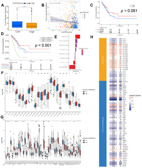 Cells 11 02399 g004 550