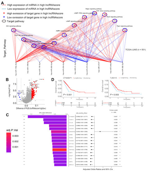 Cells 11 02399 g008 550