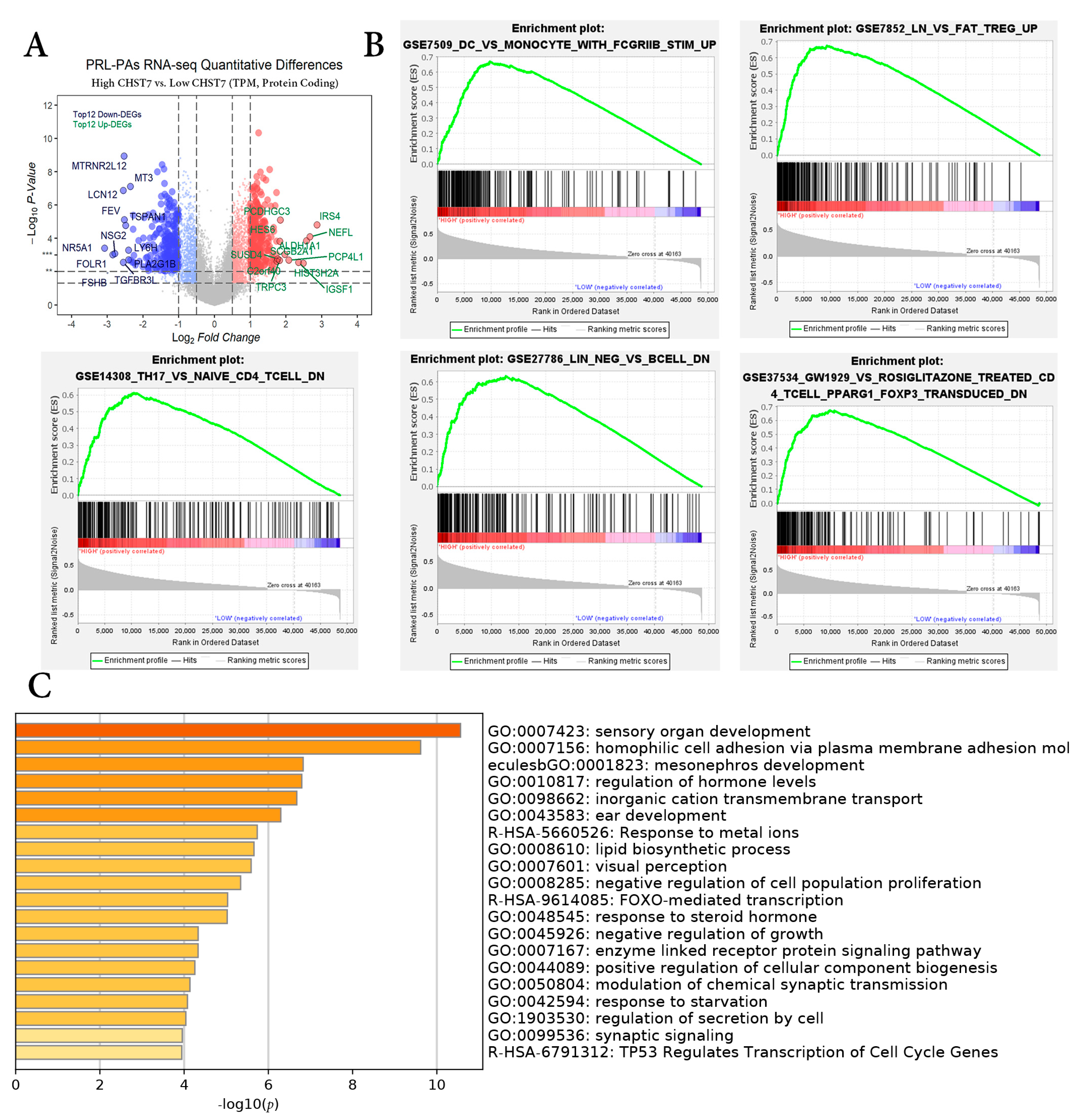 Cells 11 02400 g001 Cells 11 02400 g001