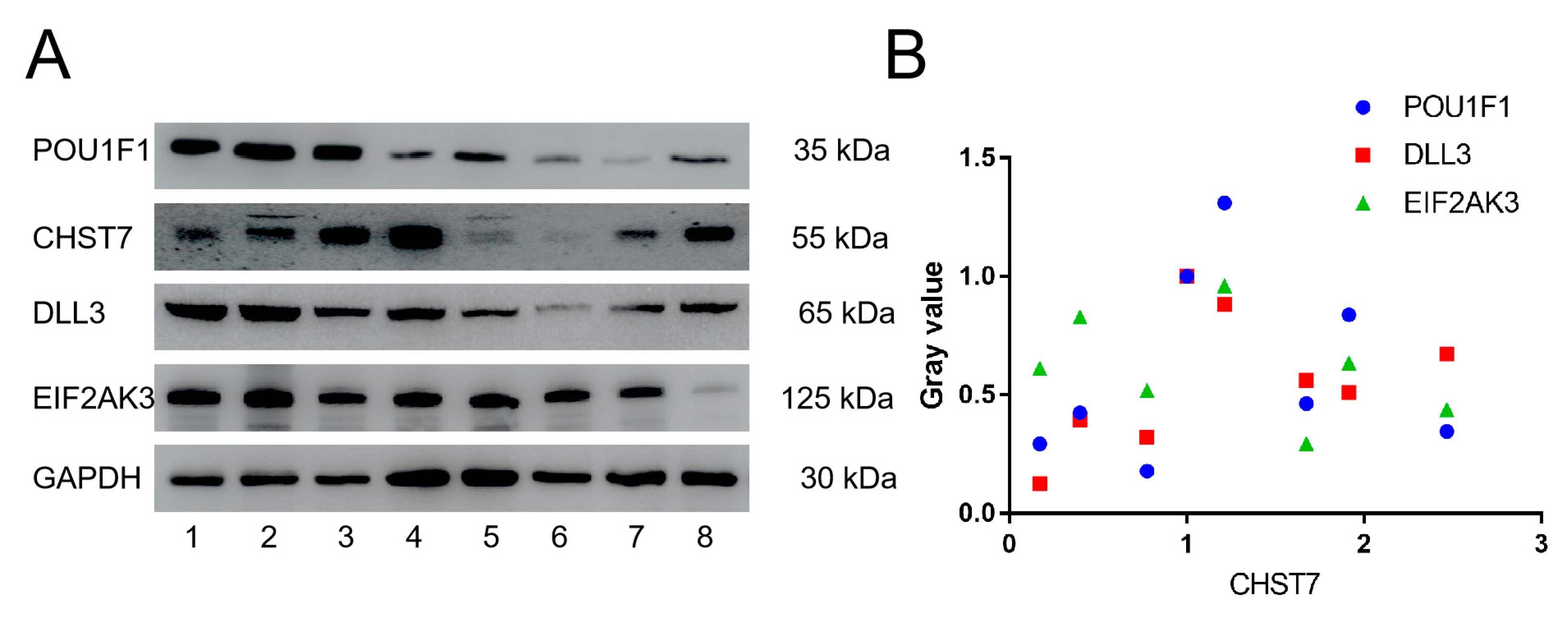 Cells 11 02400 g003 Cells 11 02400 g003