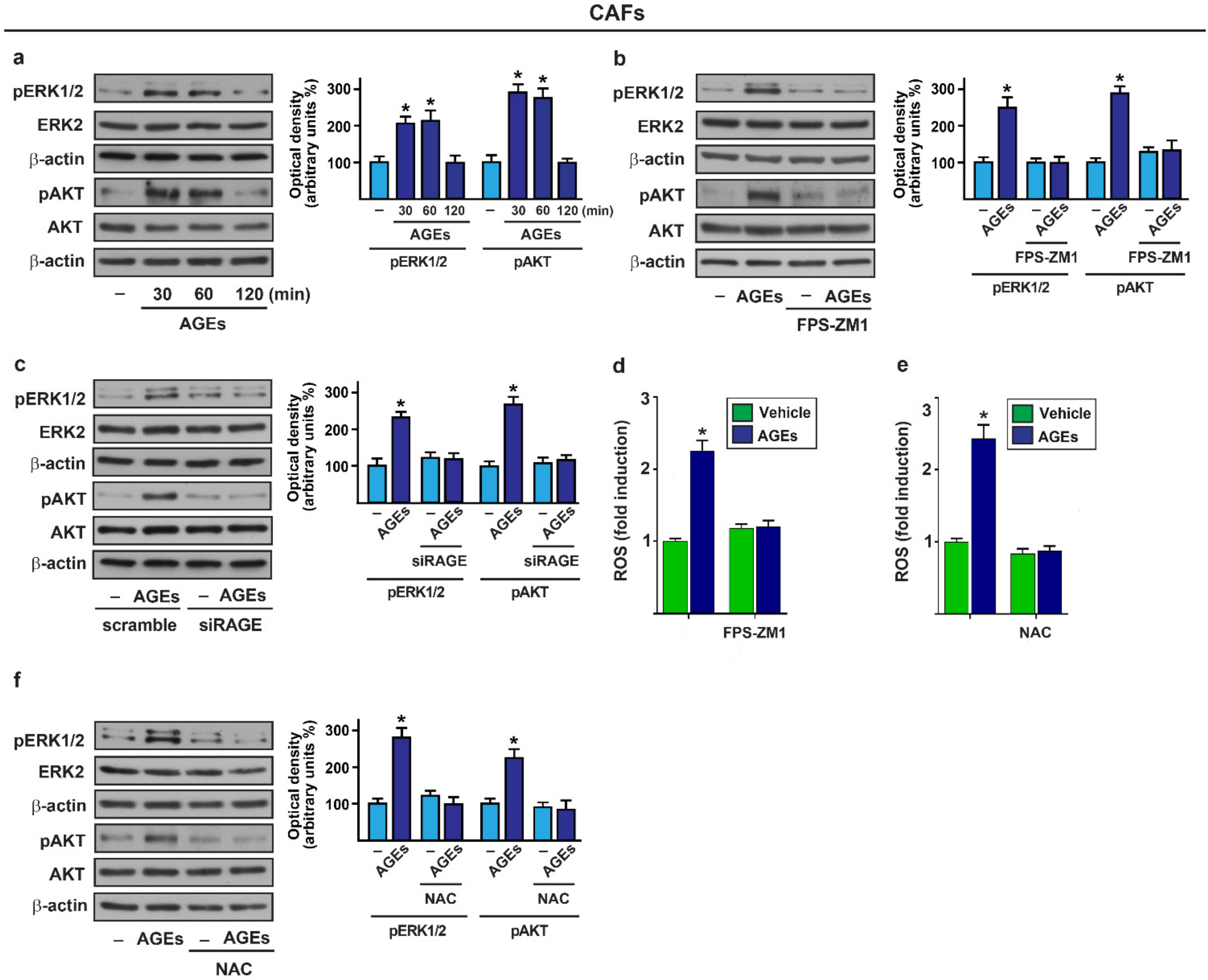 Cells 11 02402 g001 Cells 11 02402 g001