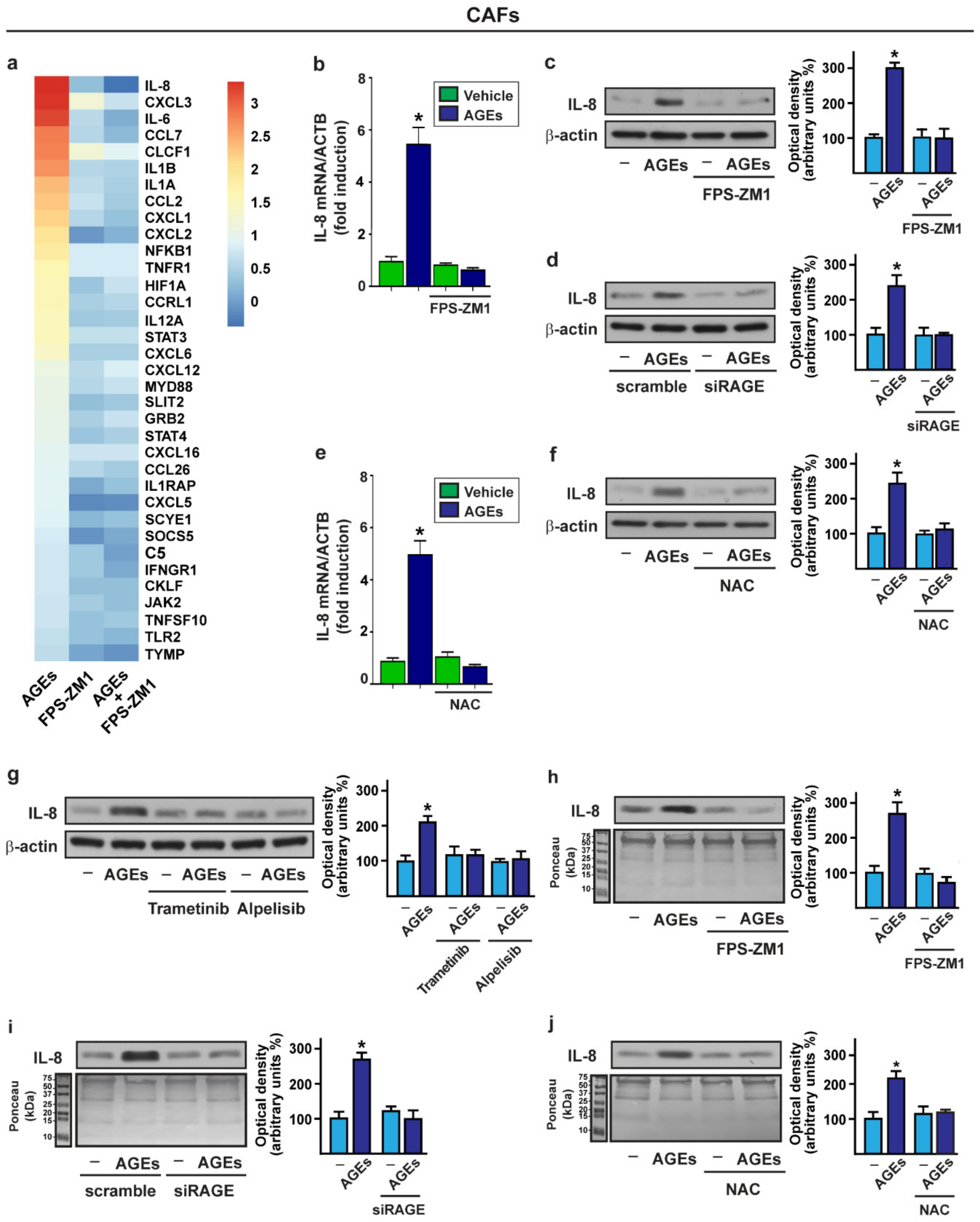 Cells 11 02402 g002 Cells 11 02402 g002