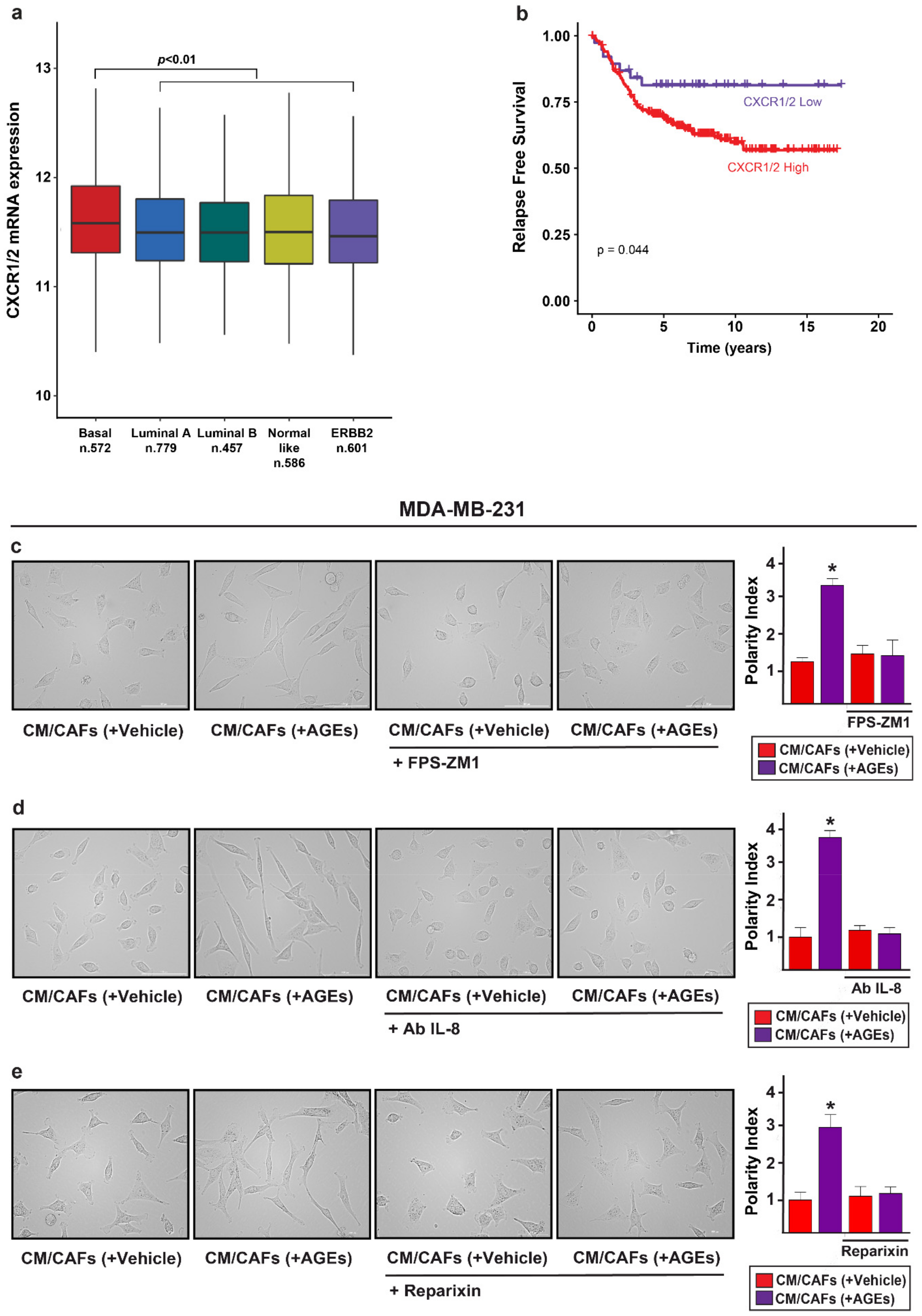 Cells 11 02402 g004 Cells 11 02402 g004