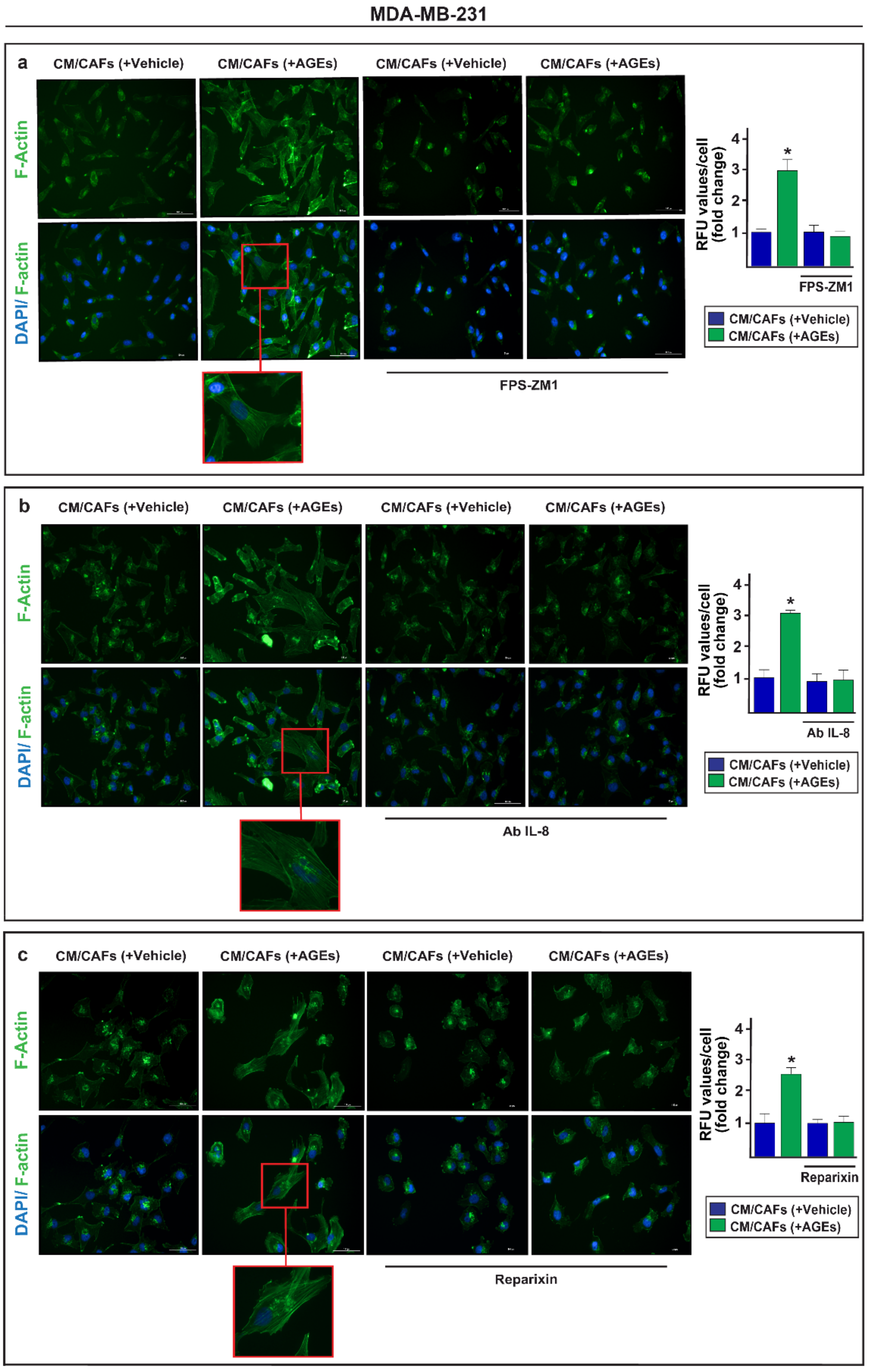 Cells 11 02402 g005 Cells 11 02402 g005